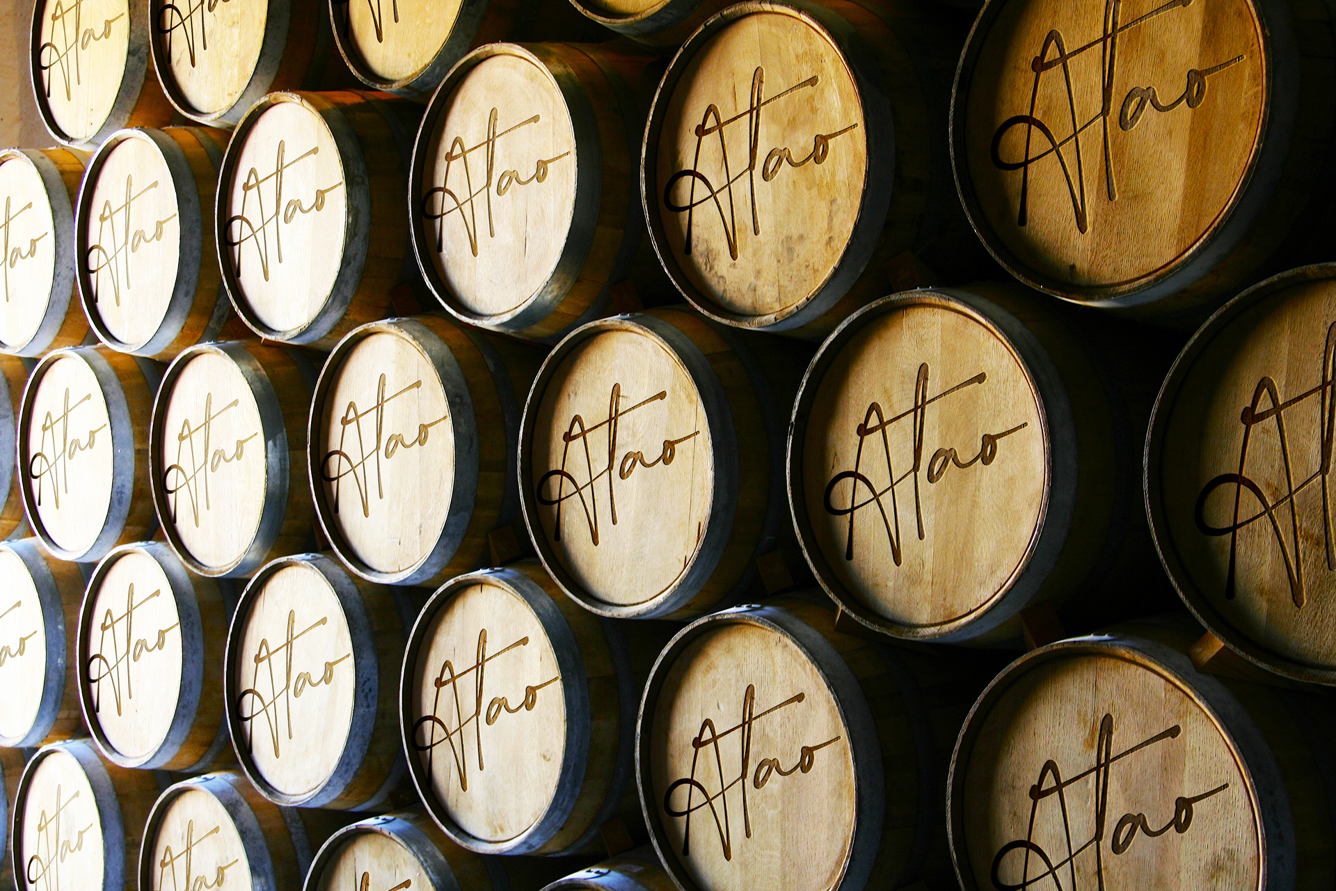 packaging of the world wine branding