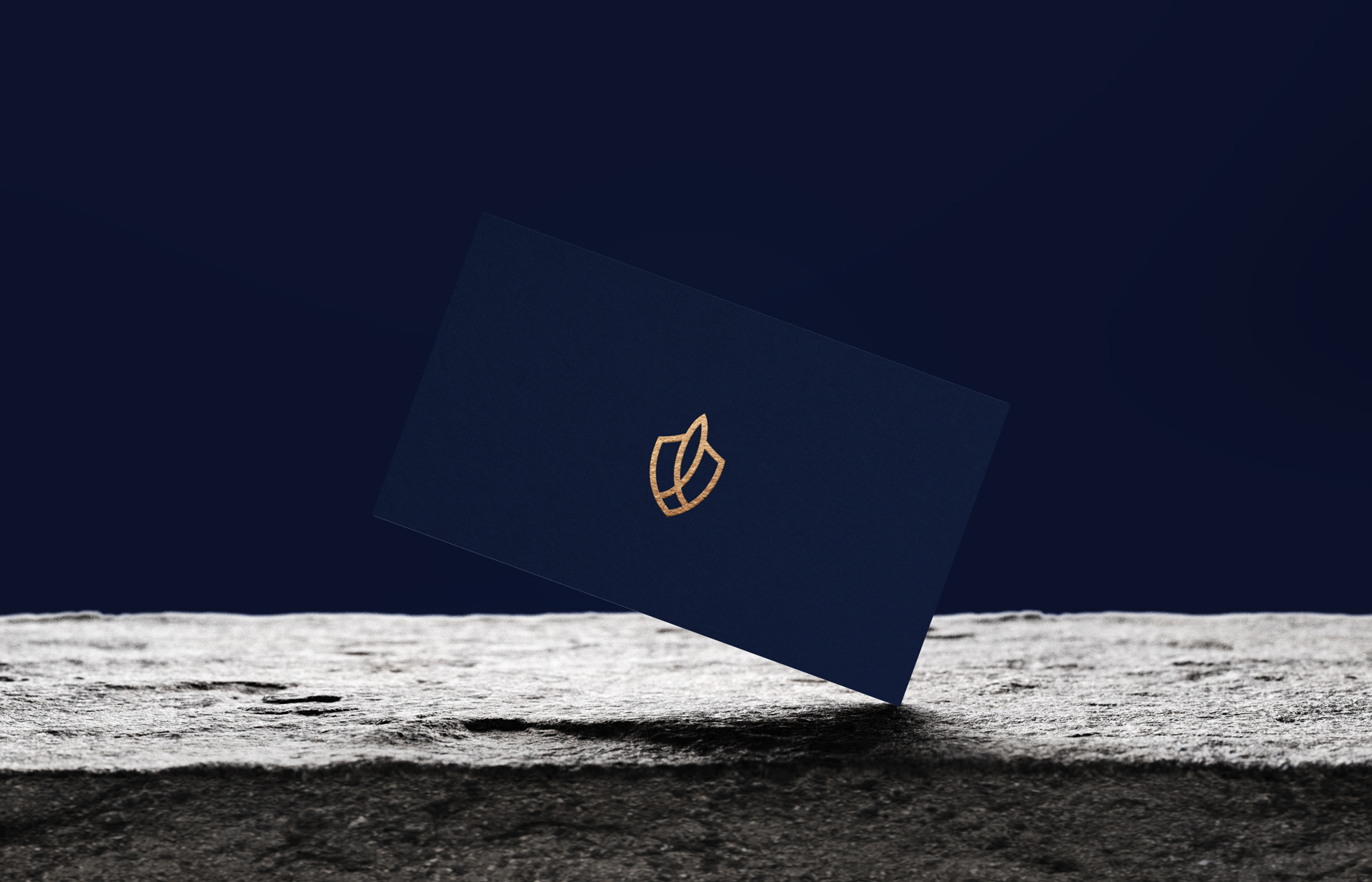 business identity design