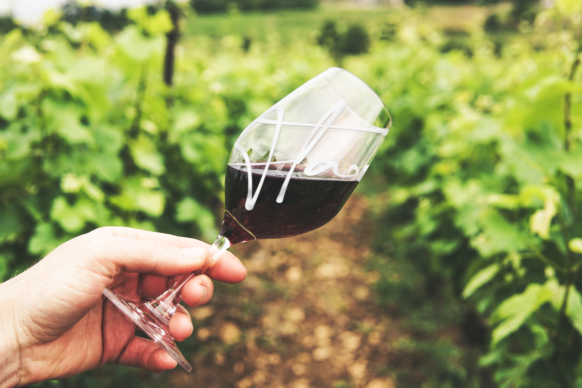 world brand design society wine branding identity