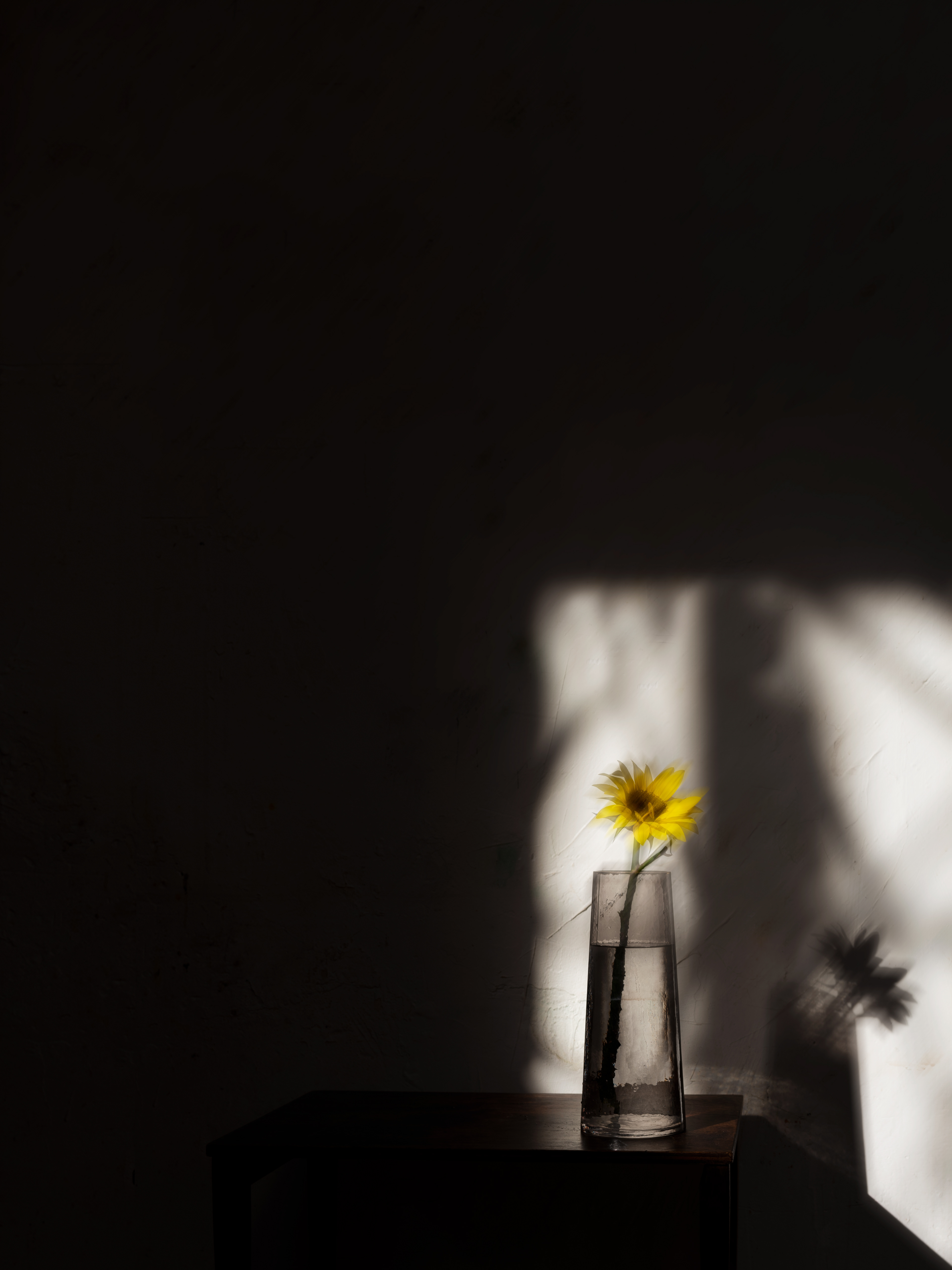 Nature morte.