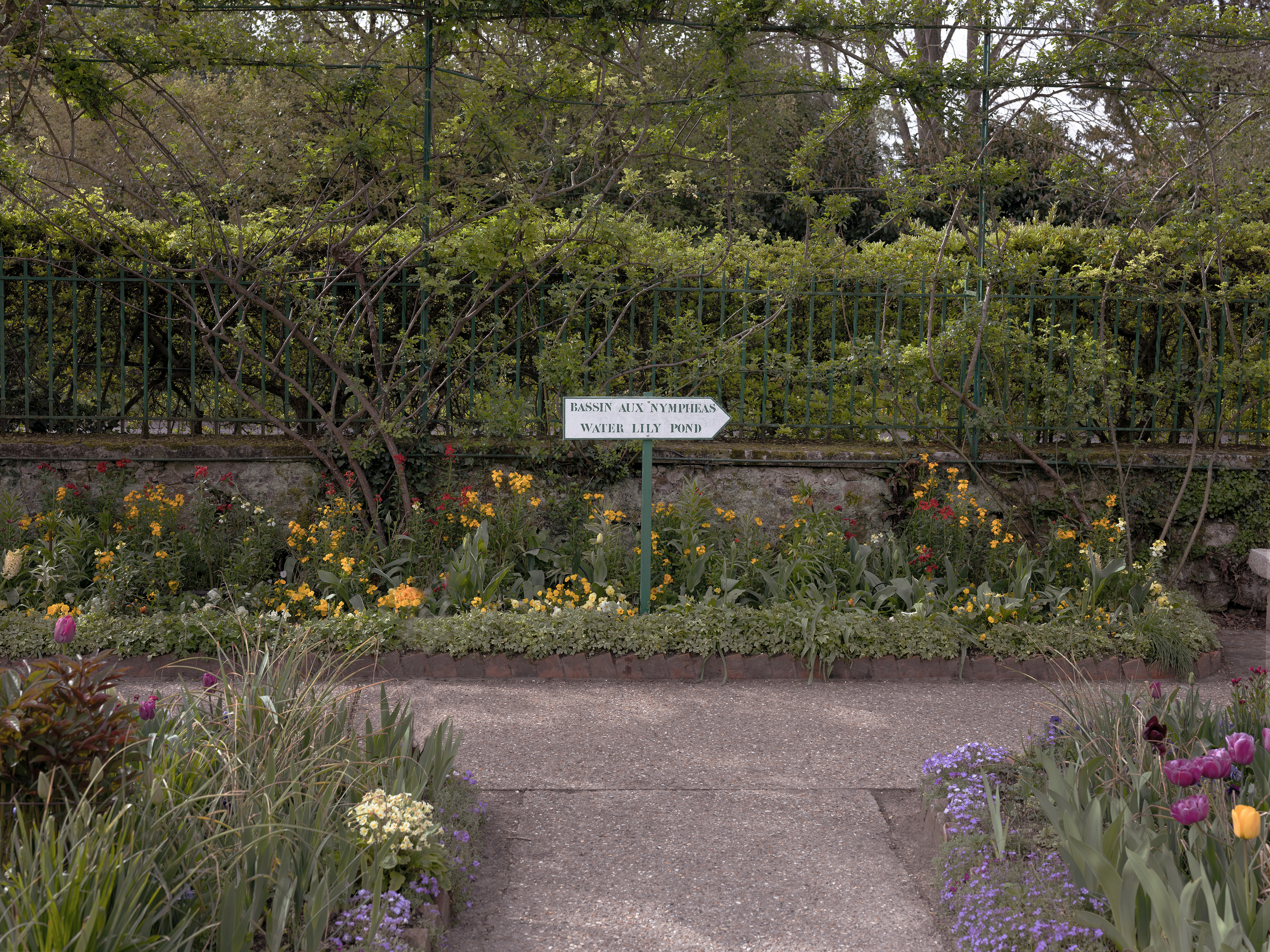 Le bassin des Nymphéas - Jardins de Claude Monet à Giverny.