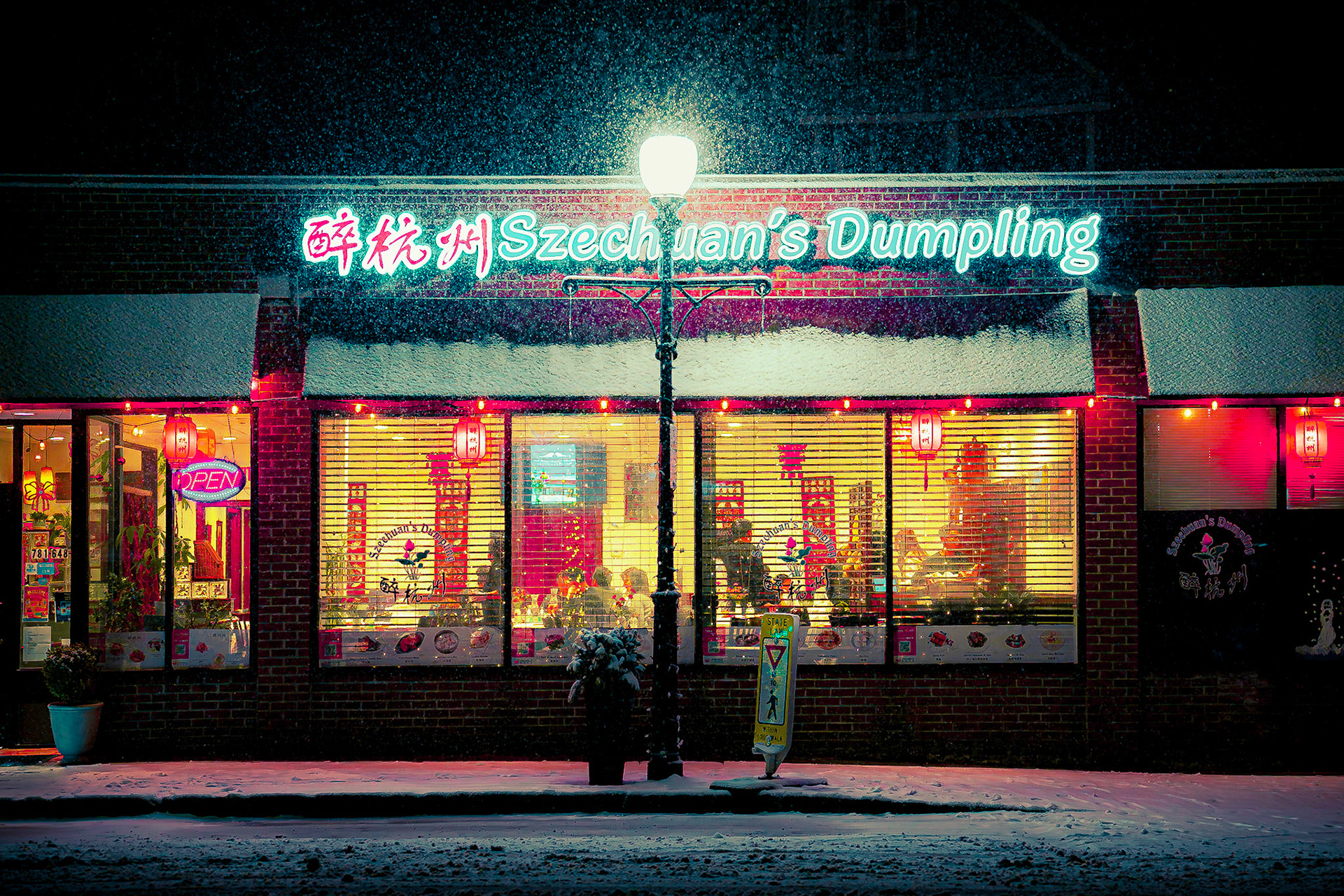 Szechuan's Dumpling (Mass Ave)