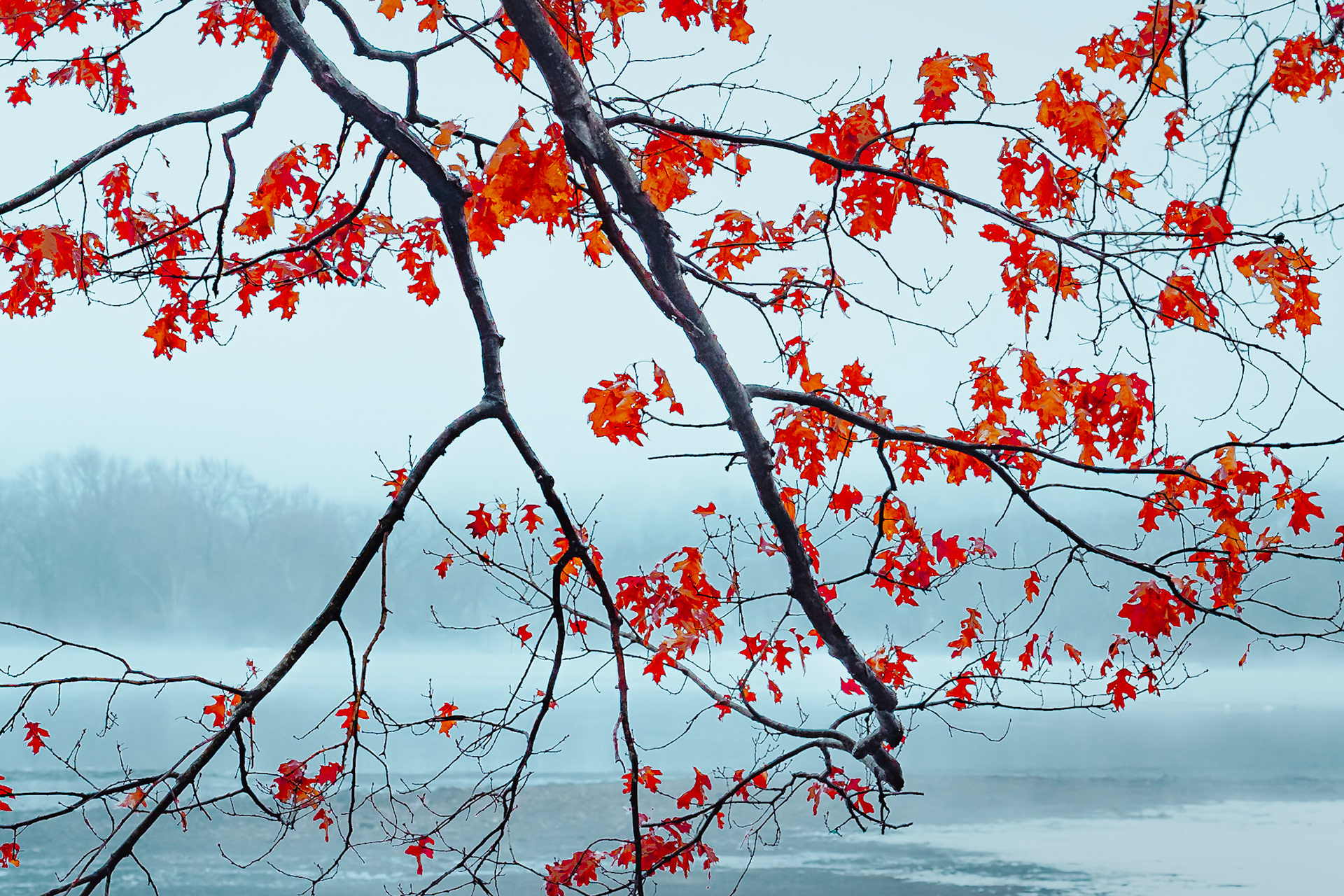 Autumn