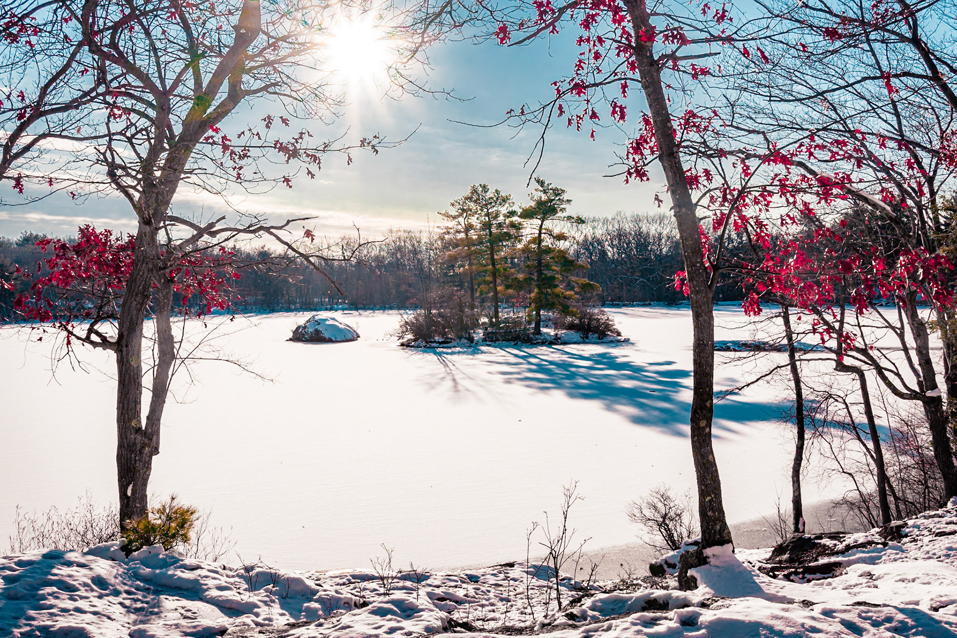 Breakheart Reservation