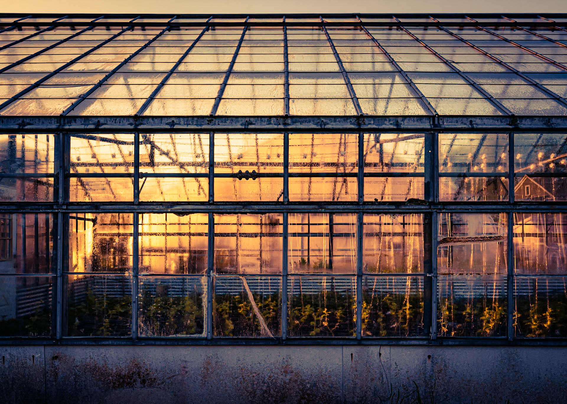 Lexington Community Farm