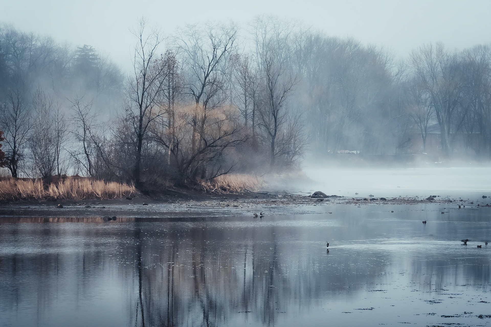 The Arlington Reservoir