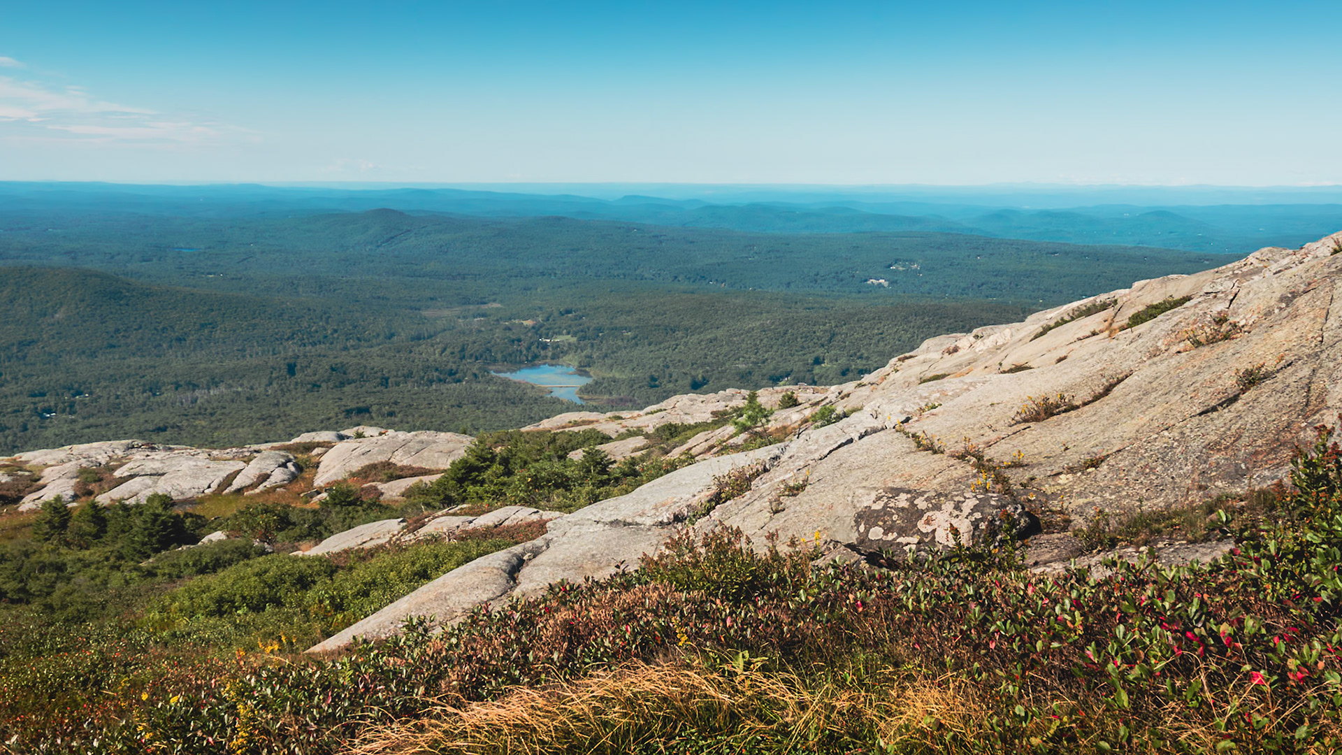 On Mt. Monadnock