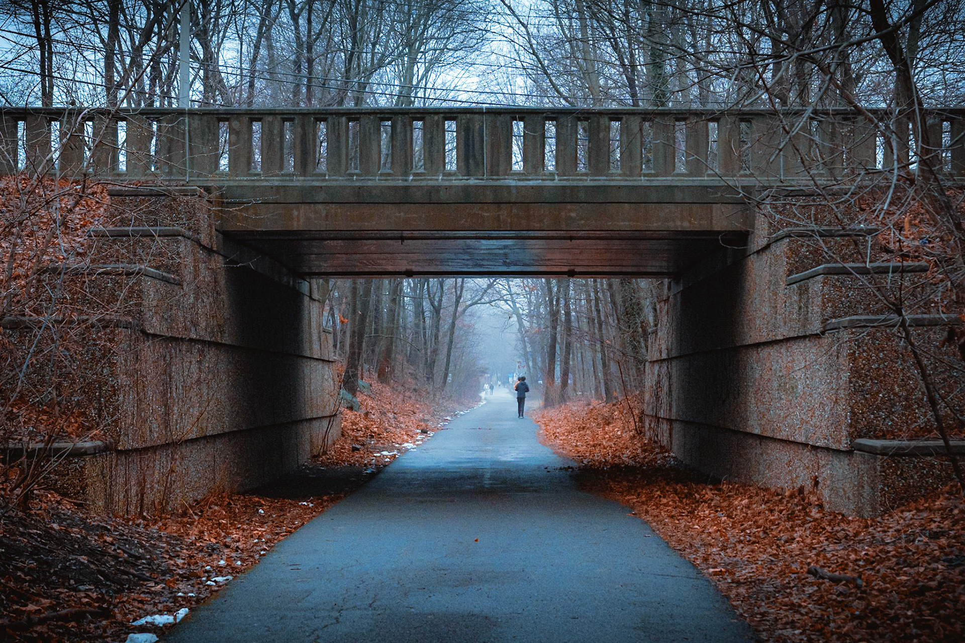On the Minuteman Bike Path
