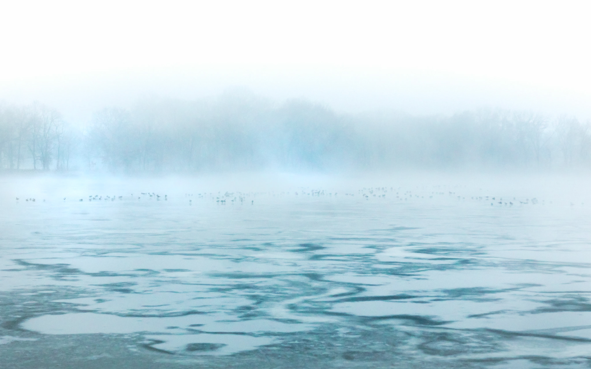 Winter at the Arlington Res