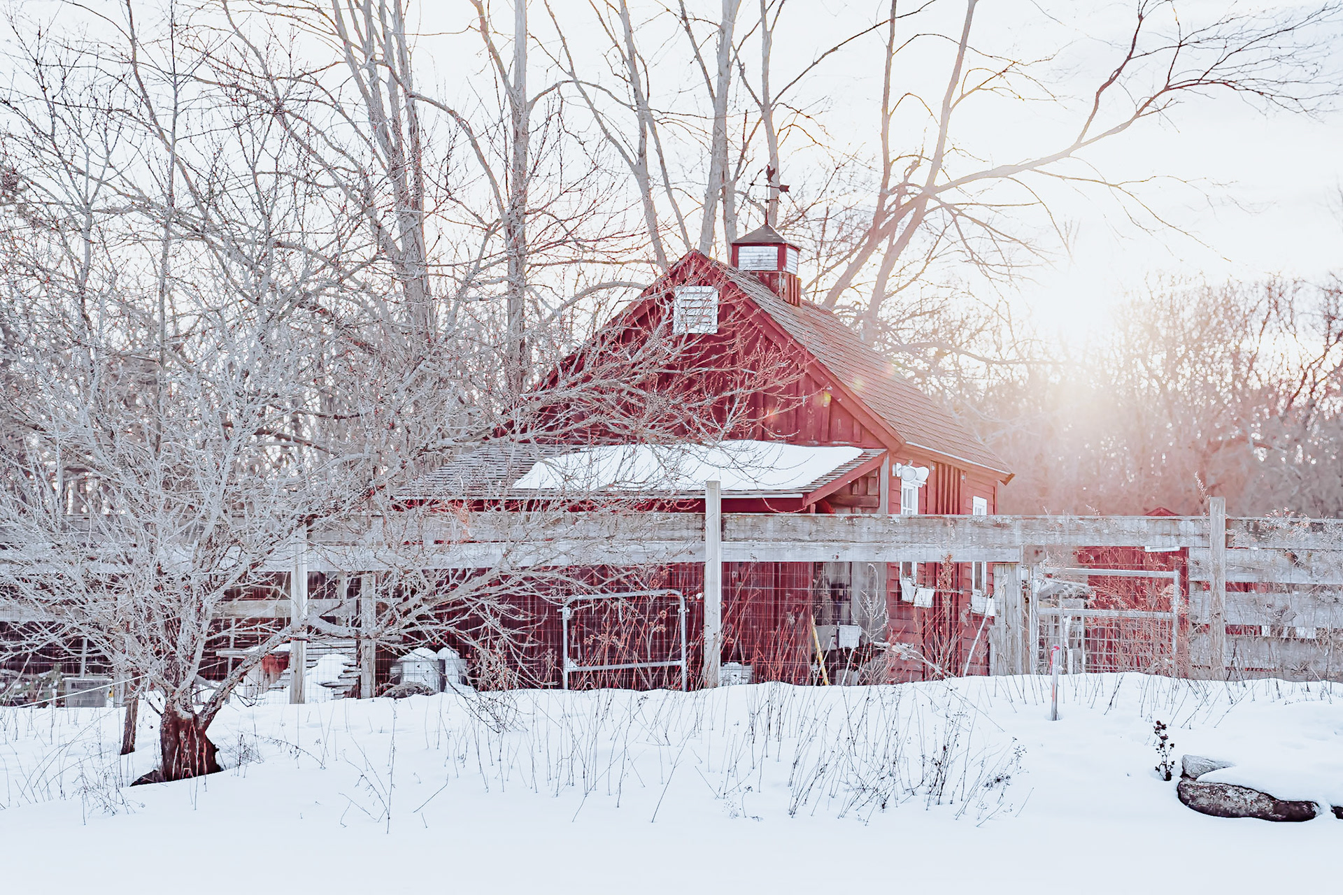 Lexington Community Farm
