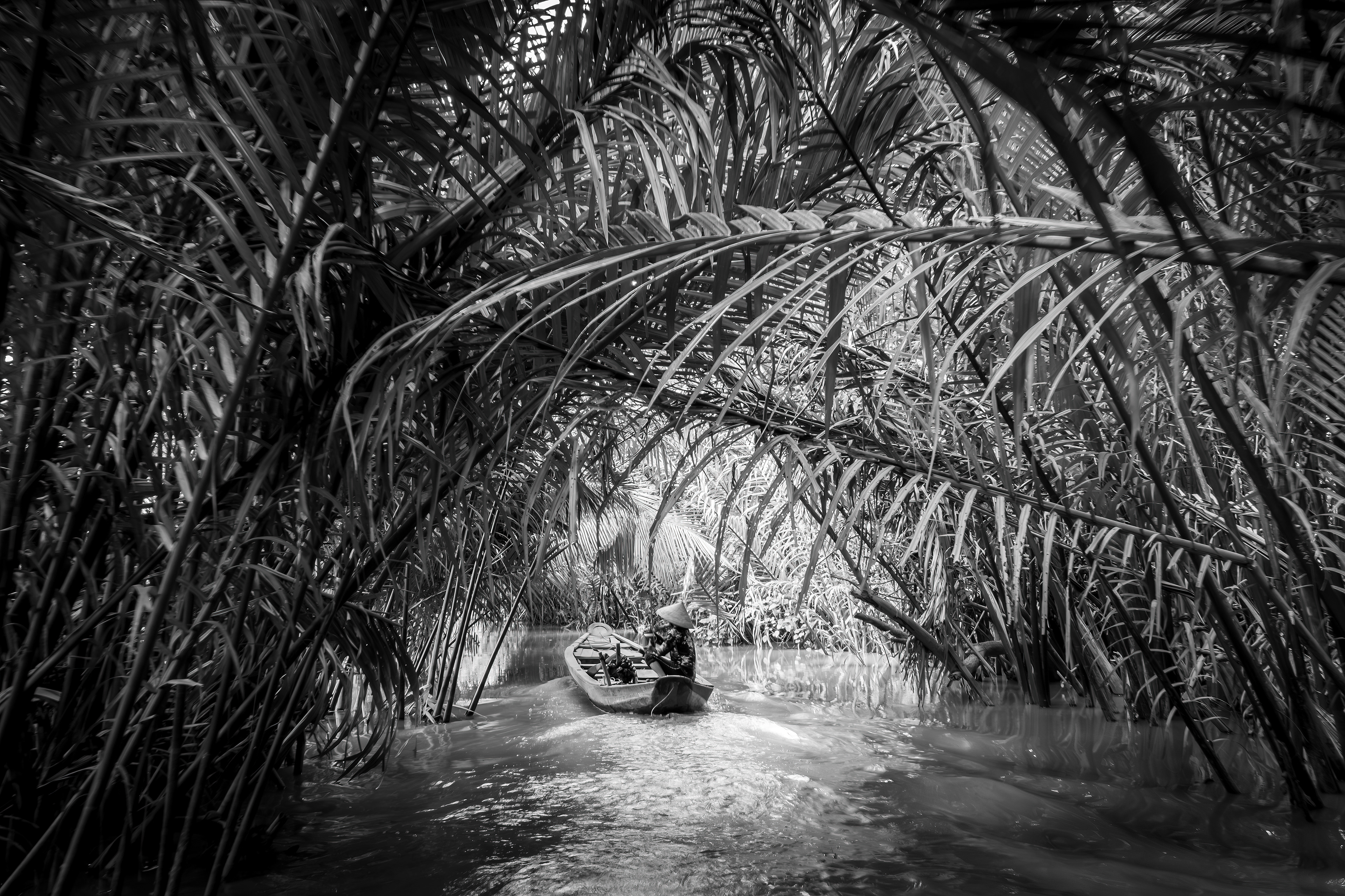 Through the mangrove / Mekong Delta, Vietnam, April 2023