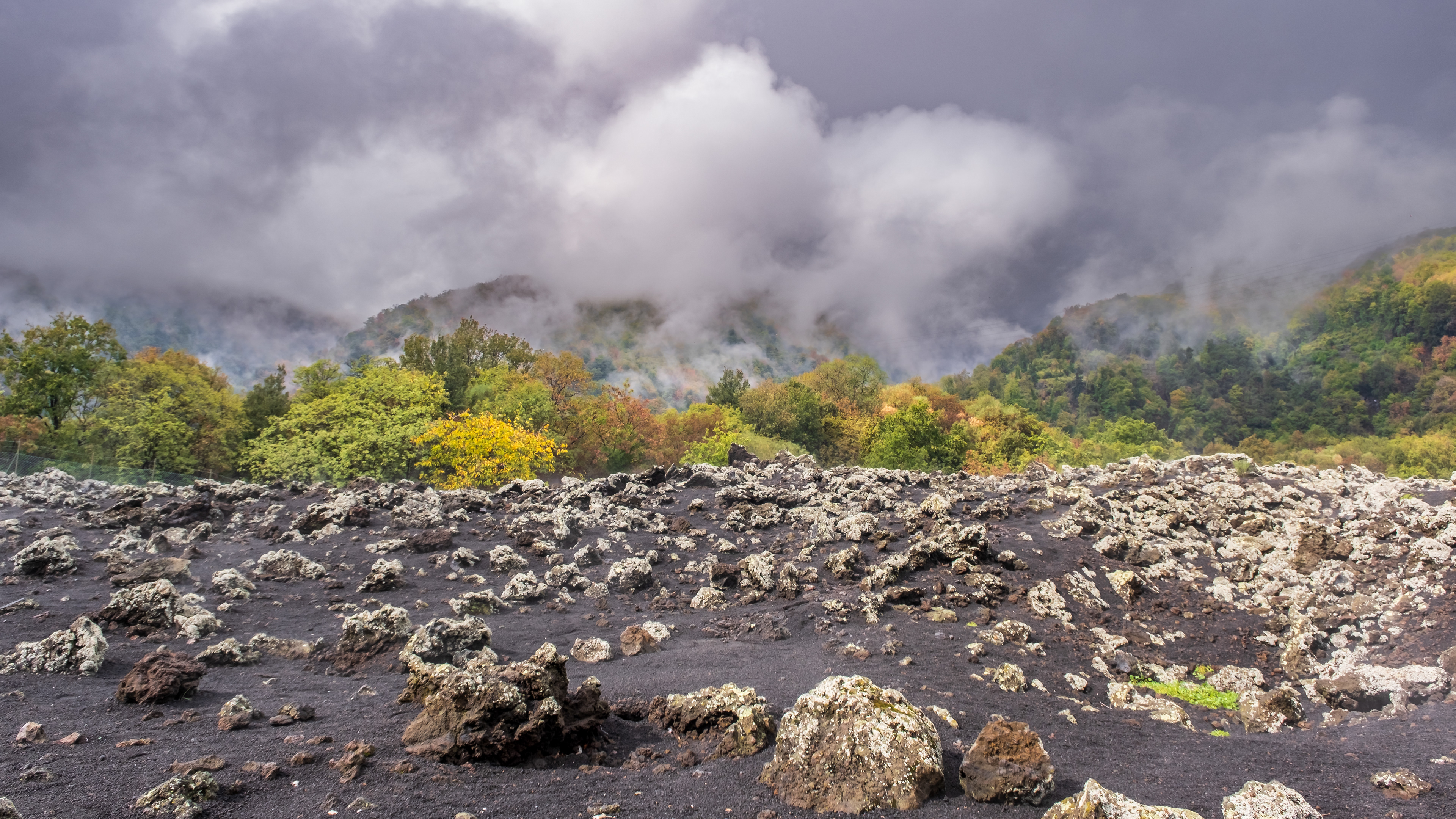 Lava fields / Mount Etna, Sicily, October 2024