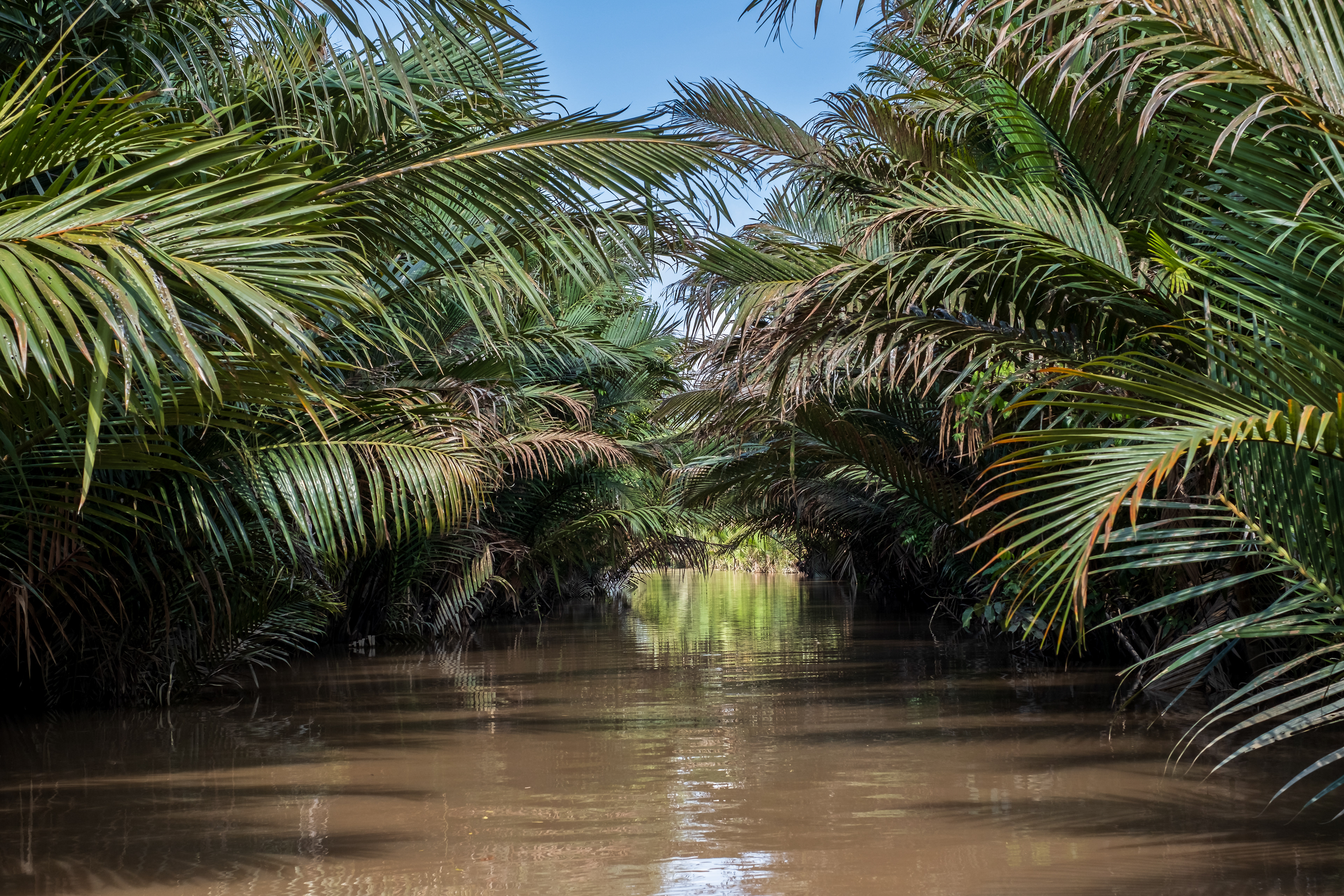 Escape to paradise / Mekong Delta, Vietnam, April 2023