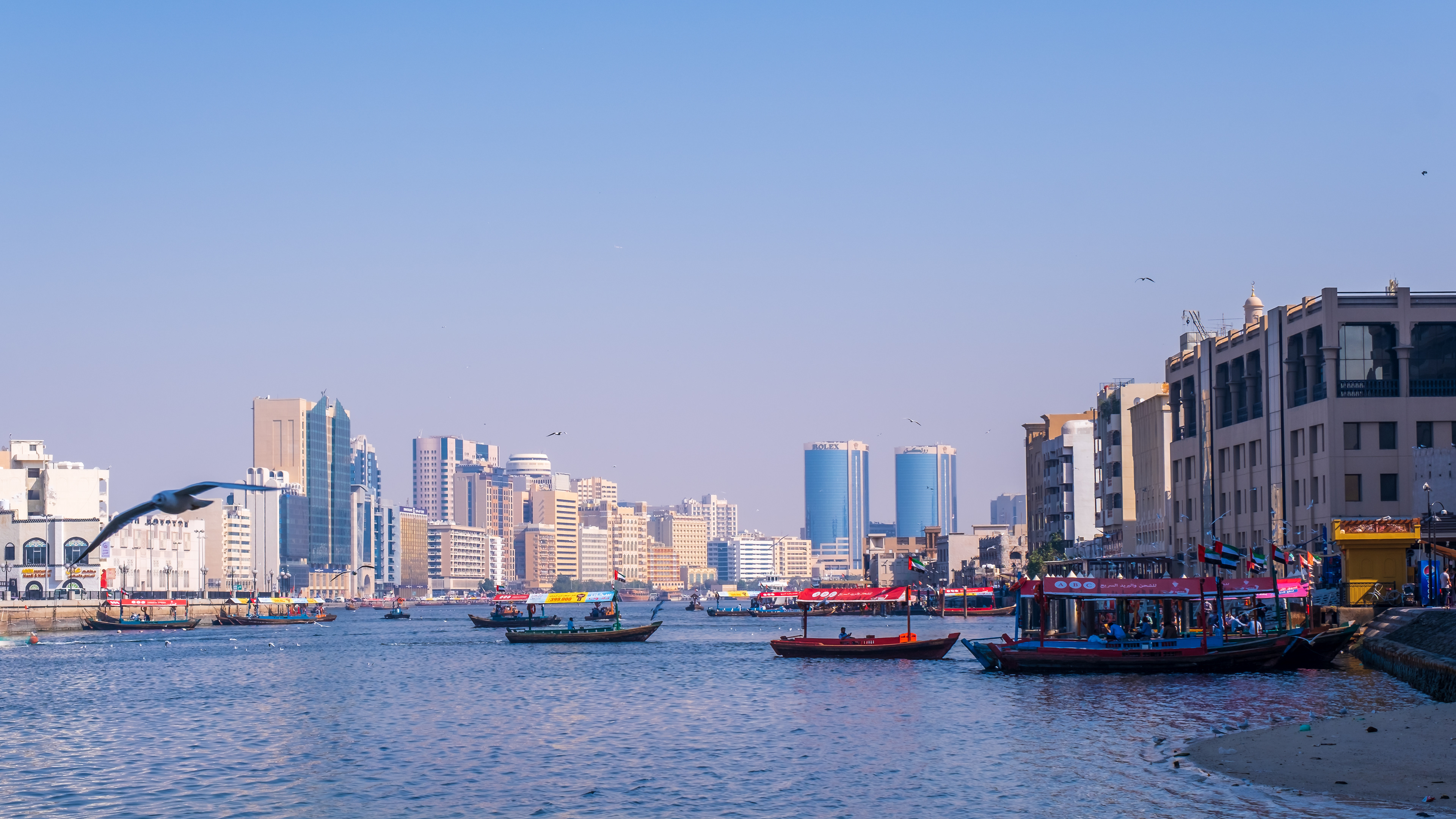 Creek life - Dubai, January 2022