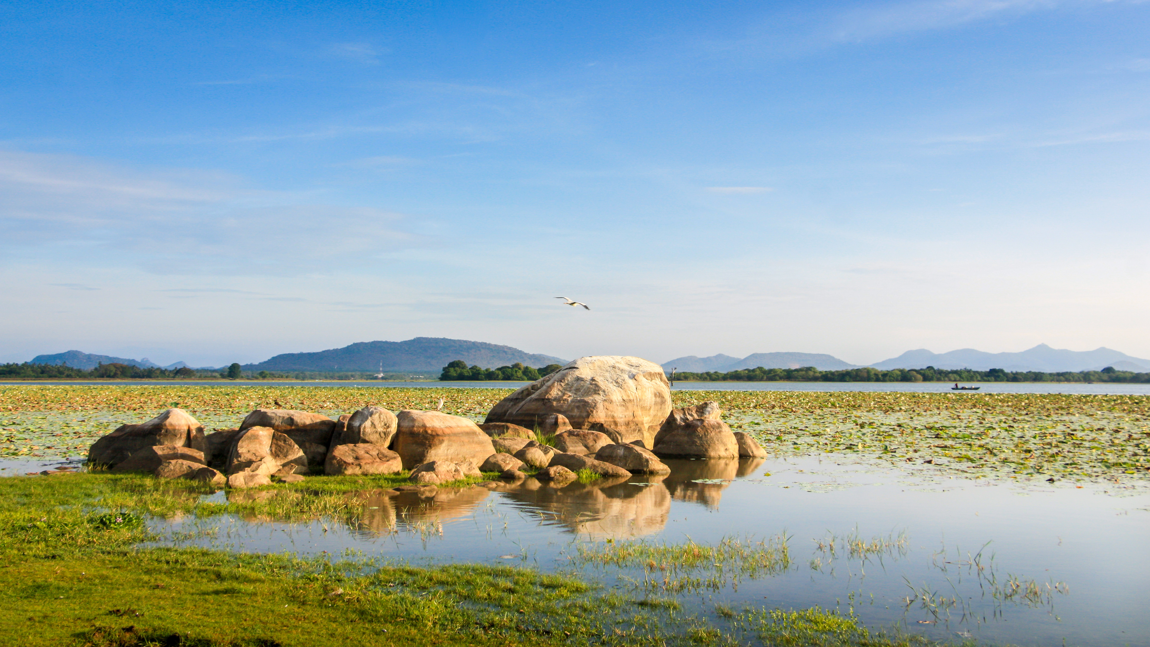Tranquillity found / Yoda Lake, Tissamaharama, Sri Lanka, April 2019