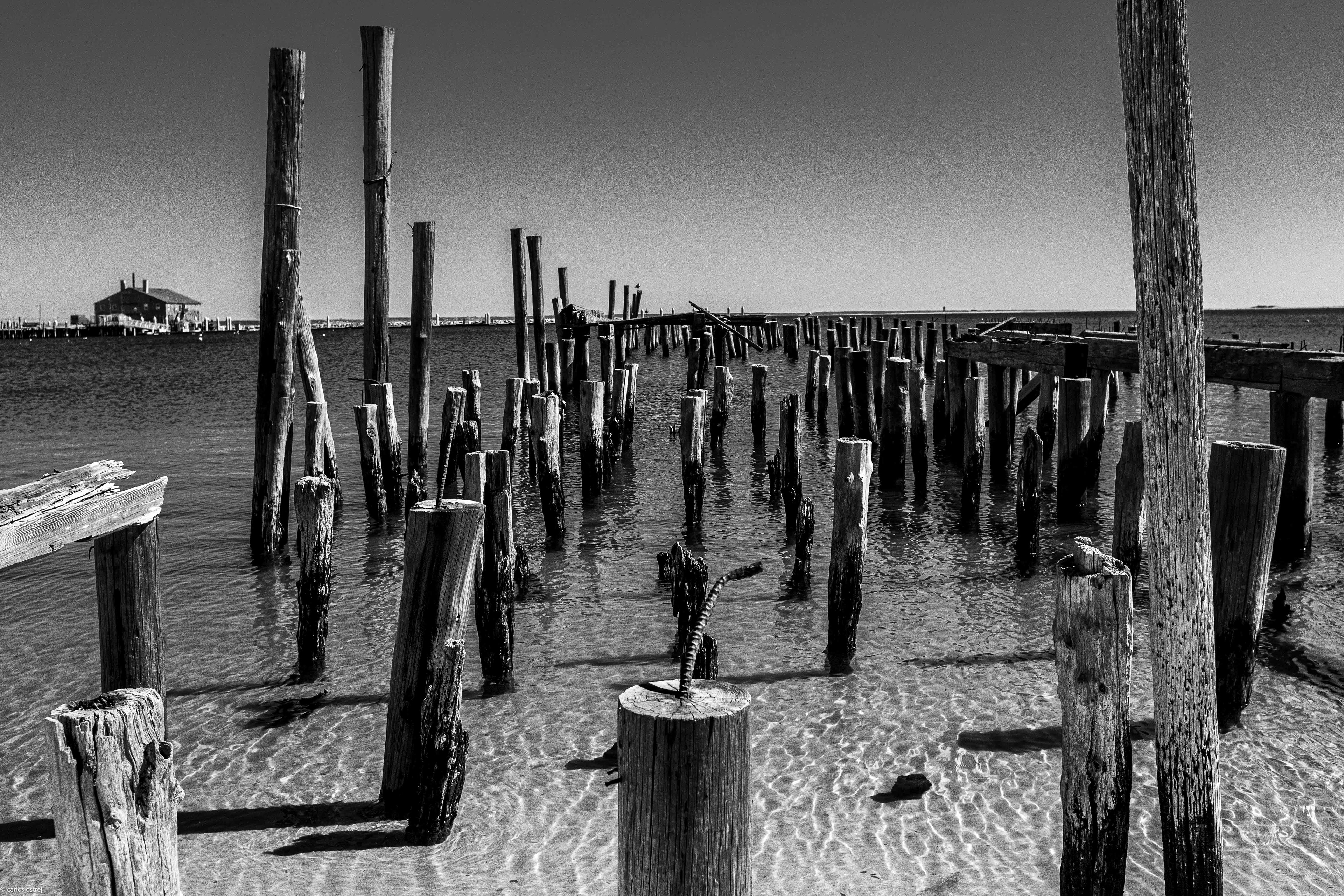 CApe Cod, Mass,B&W,  seascape