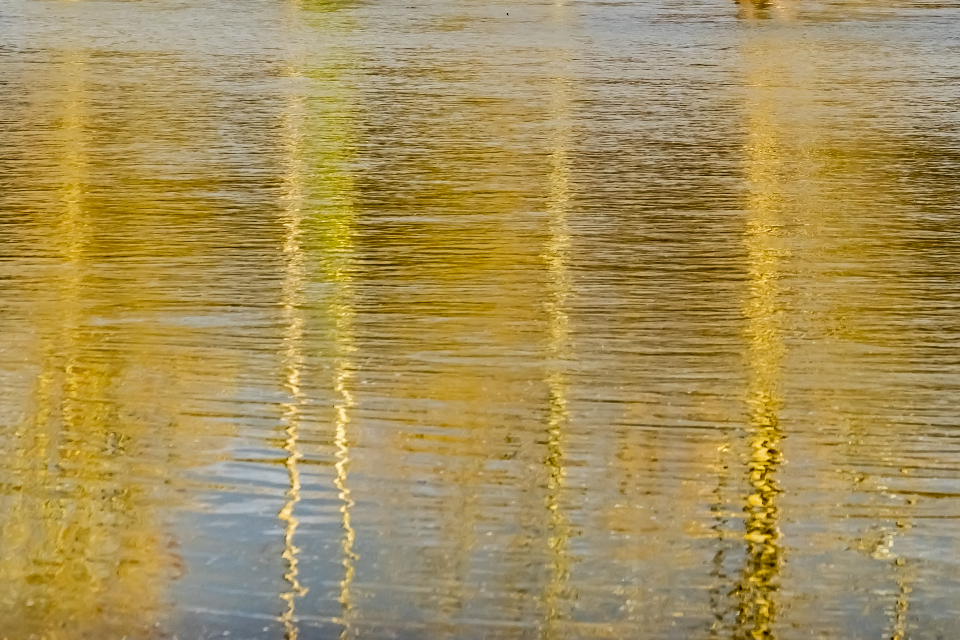 Reflets impossibles 041- France