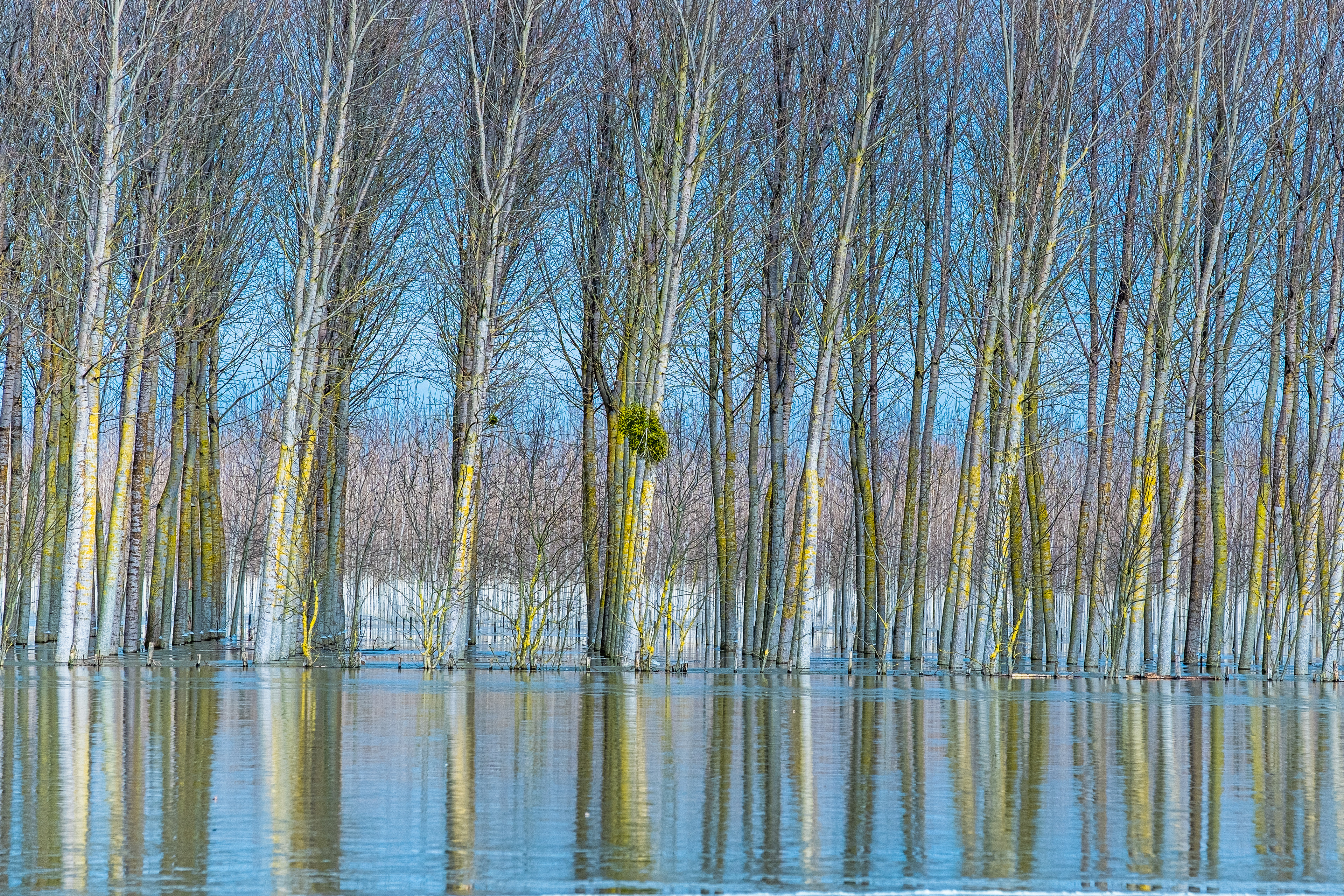 Reflets impossibles 031 - France