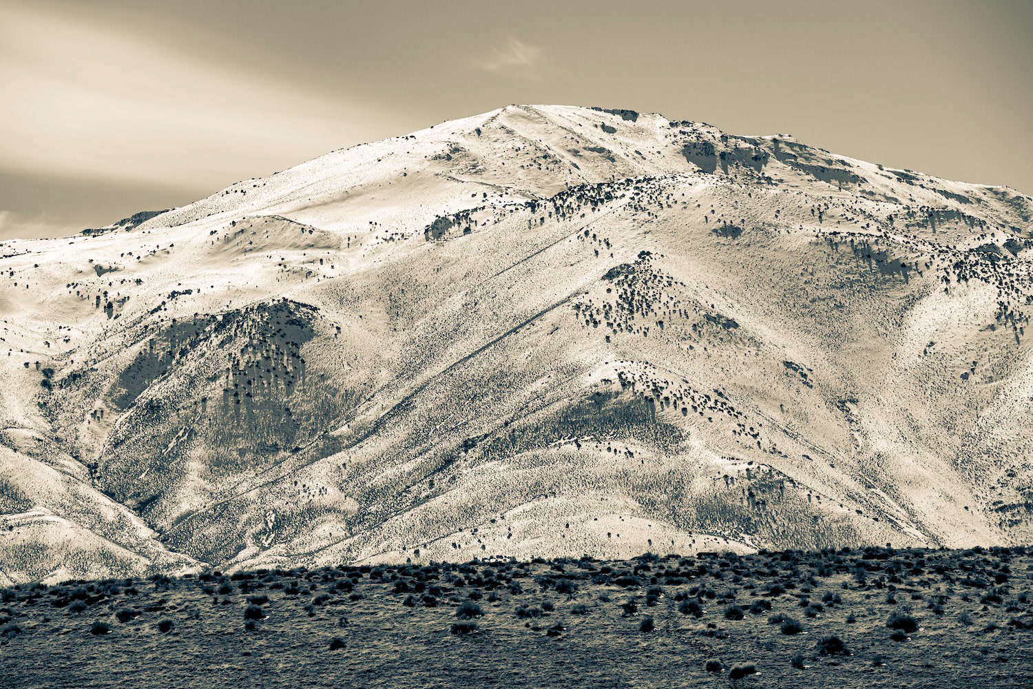 Neiges Tardives 004 - USA