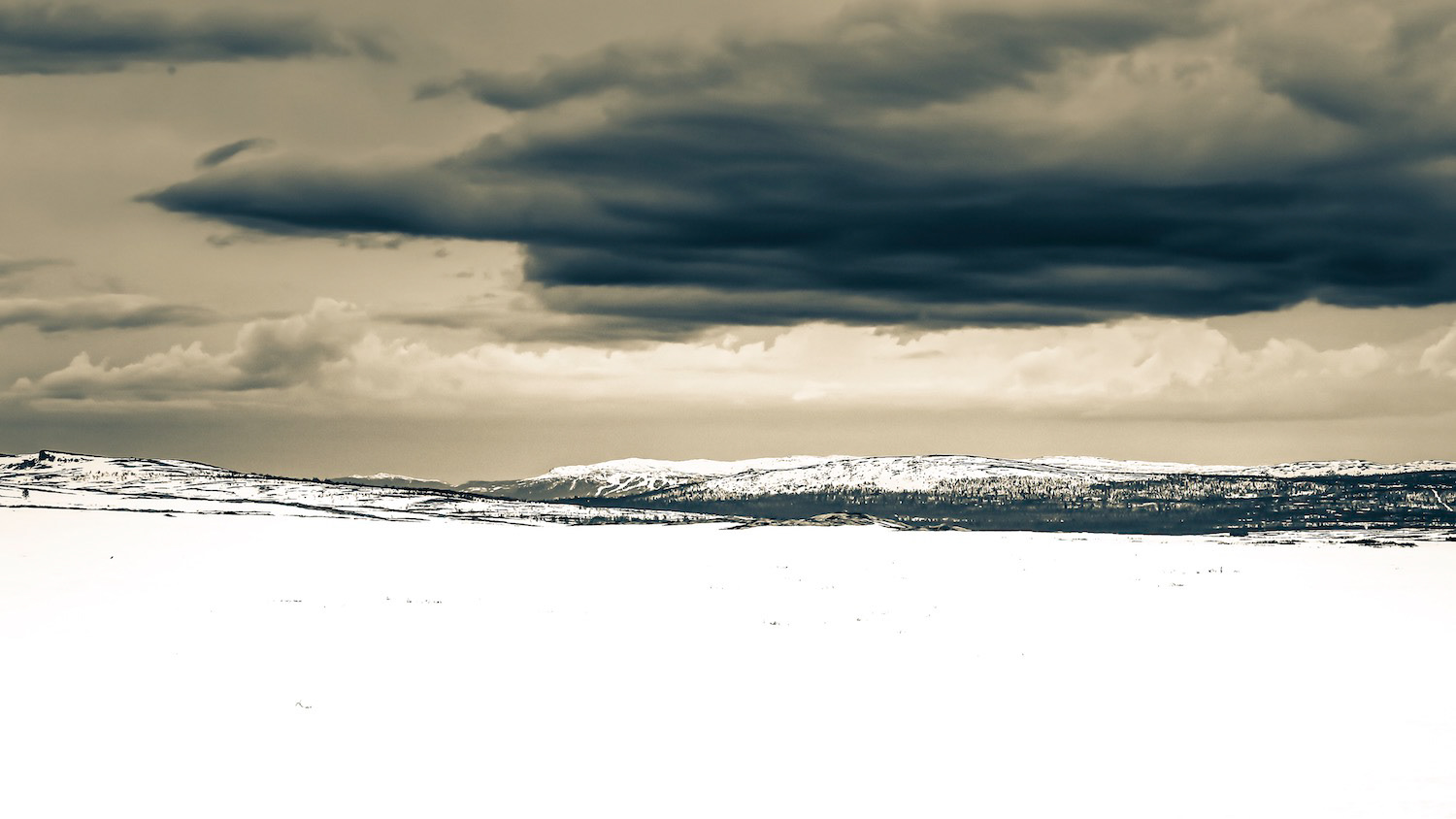 Neiges Tardives 007 -Norvège - Format 16:9