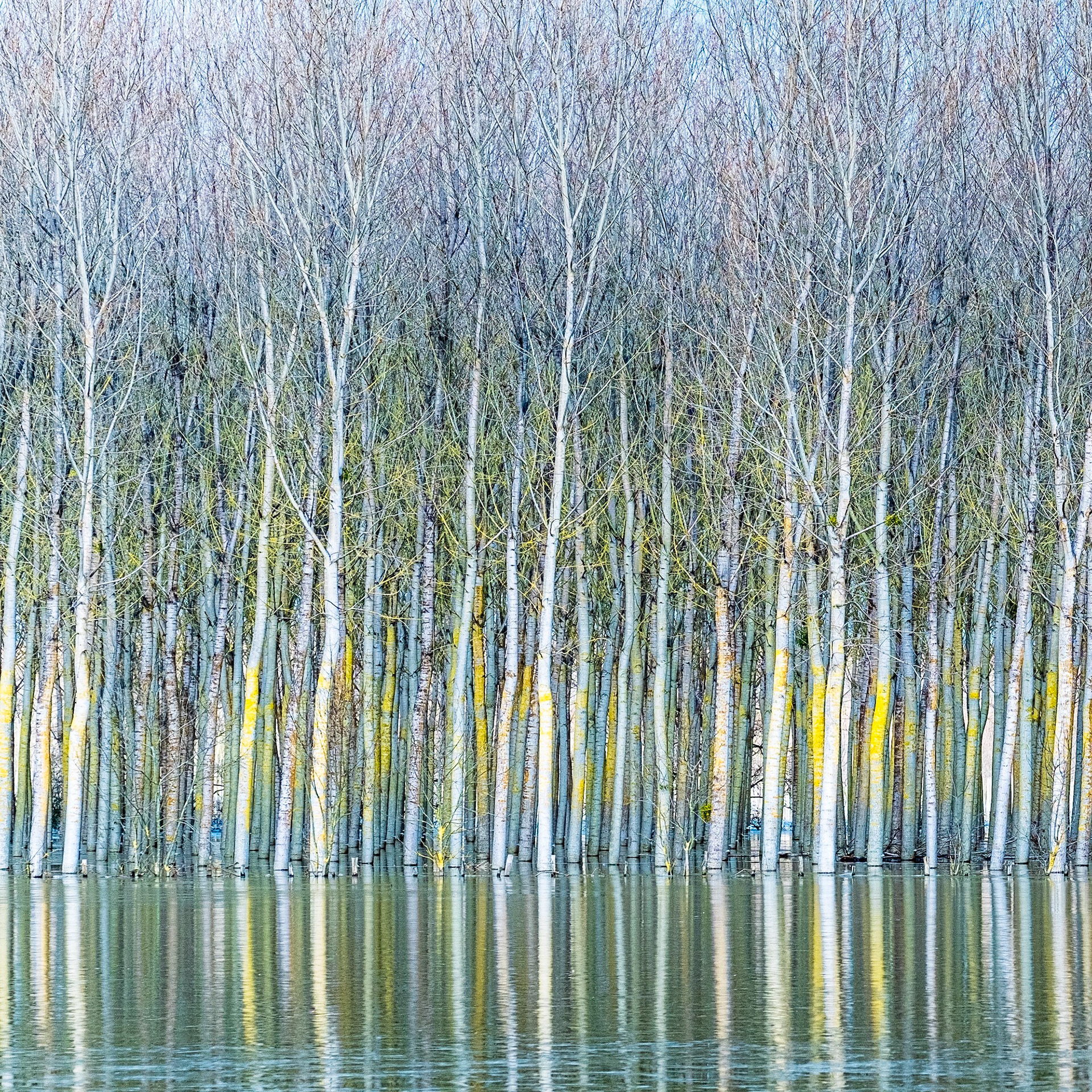 Reflets impossibles 004 - France