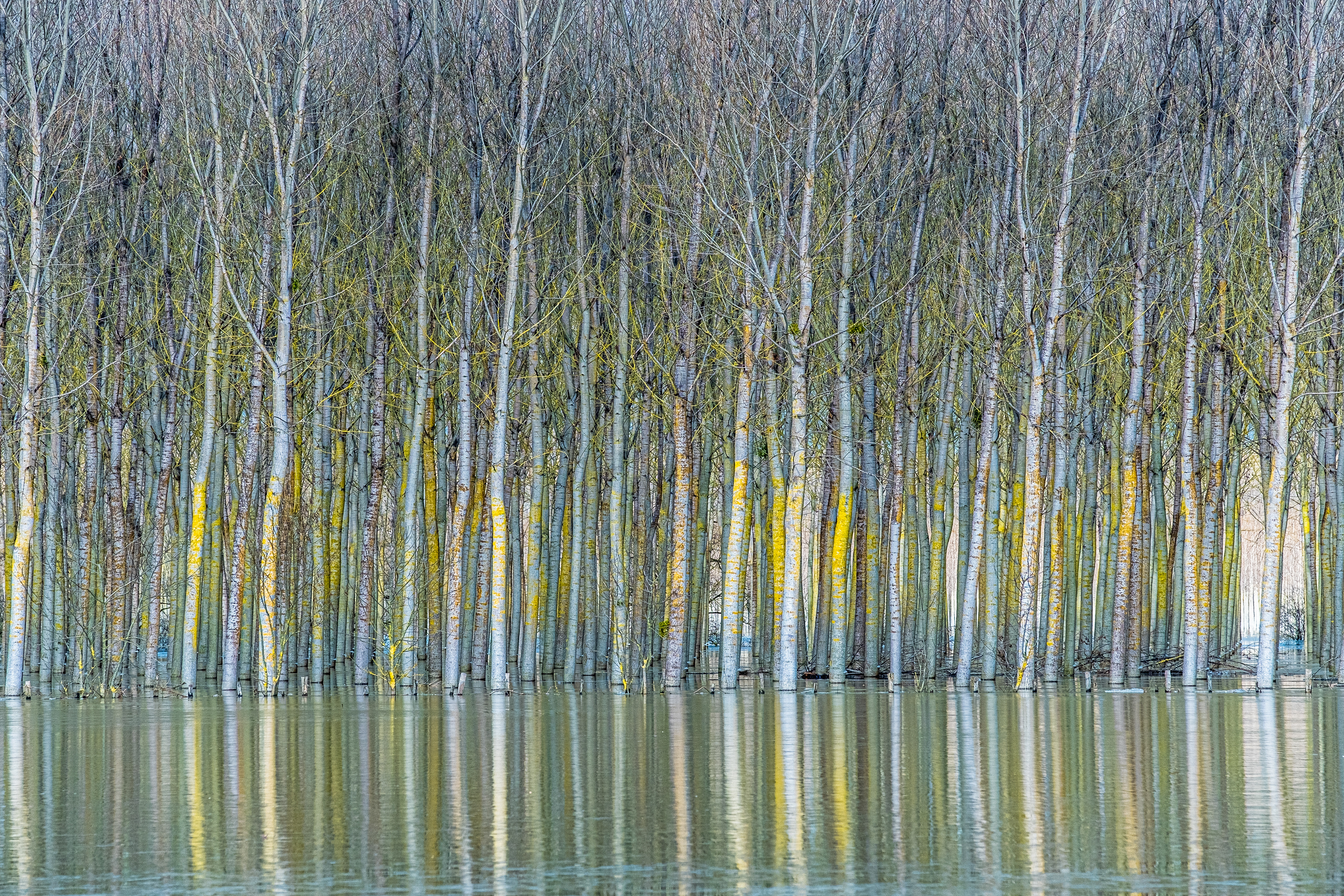 Reflets impossibles 030 - France