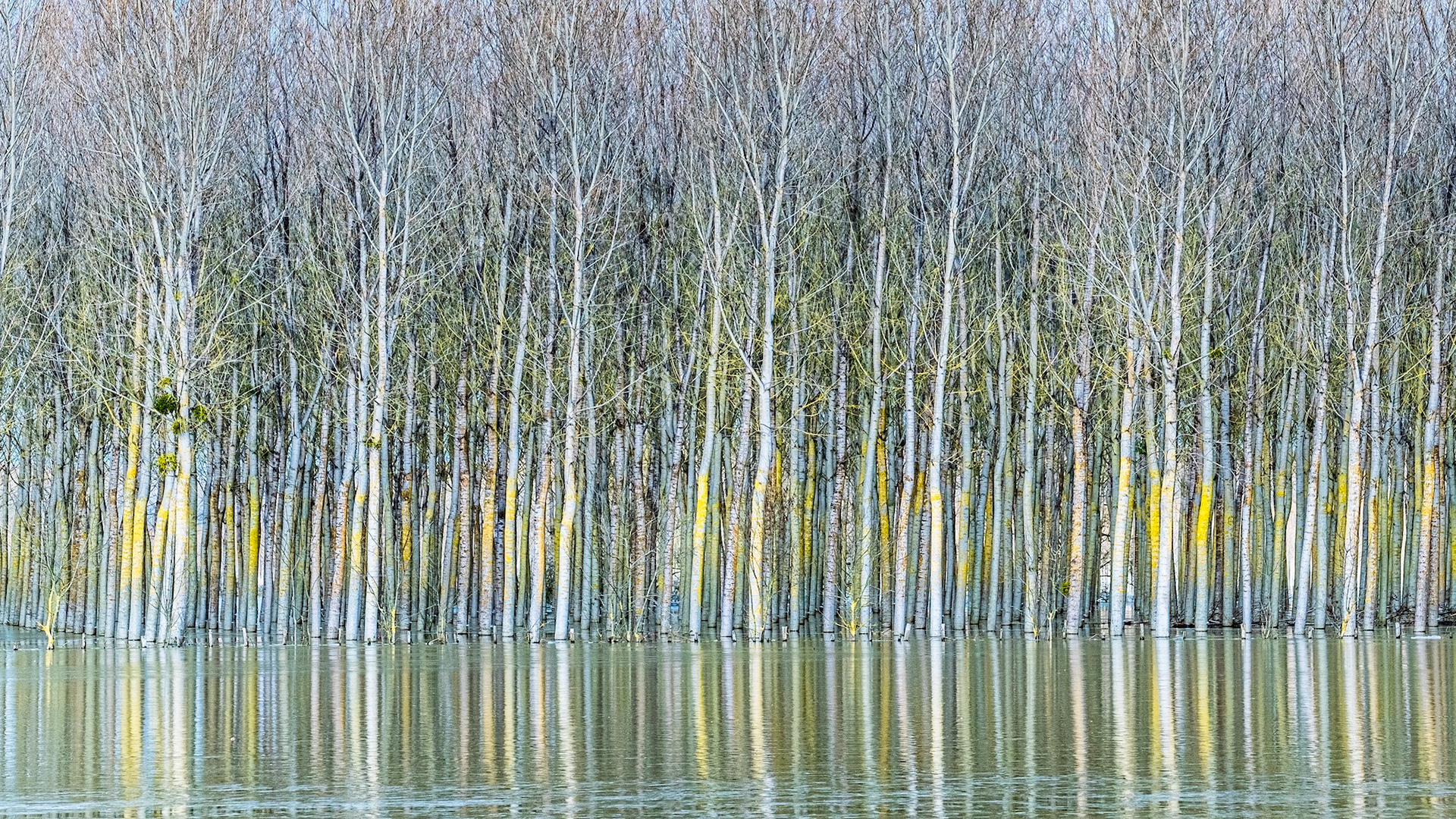 Reflets impossibles 003 - France - Format 16:9