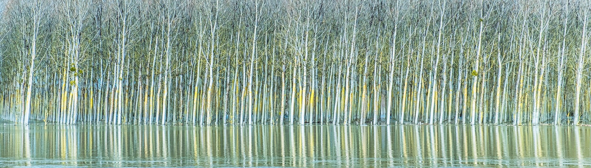 Reflets impossibles 005 - France - Format panoramique 150Xh42 cm ou 180Xh50 cm