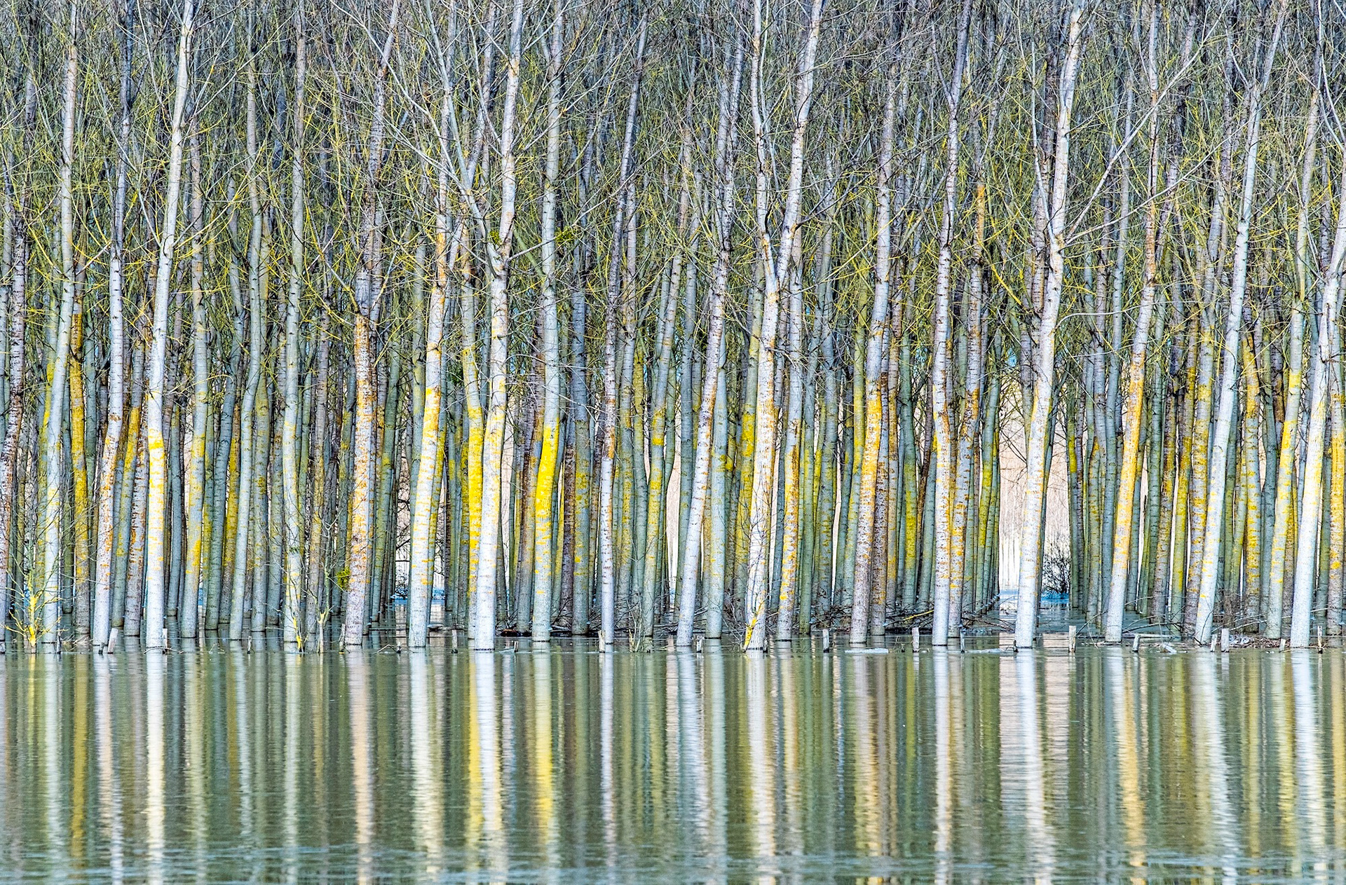 Reflets impossibles 001 - France