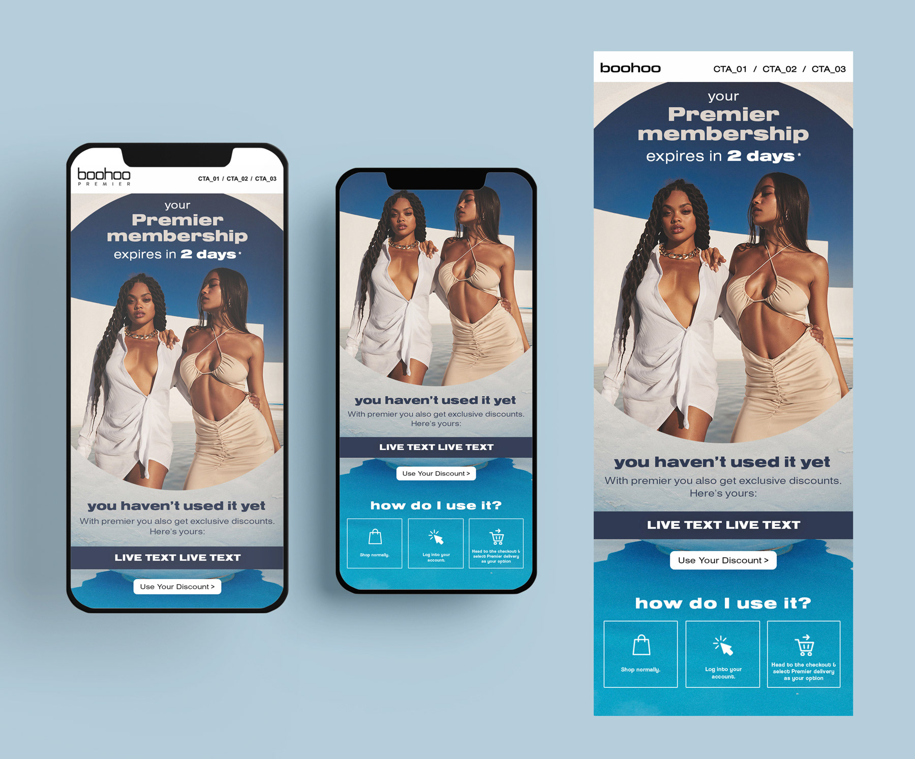 Blue and cream email promoting Premier