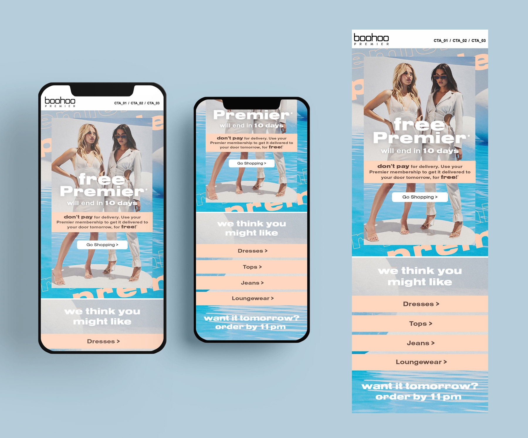 Blue and cream email promoting Premier