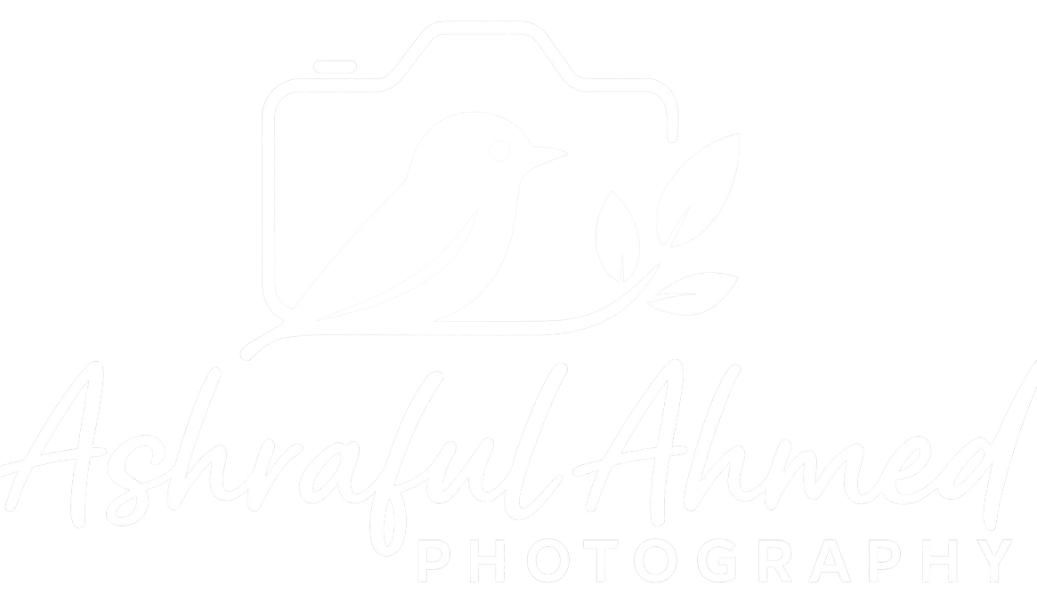 Ashraful Ahmed Photography