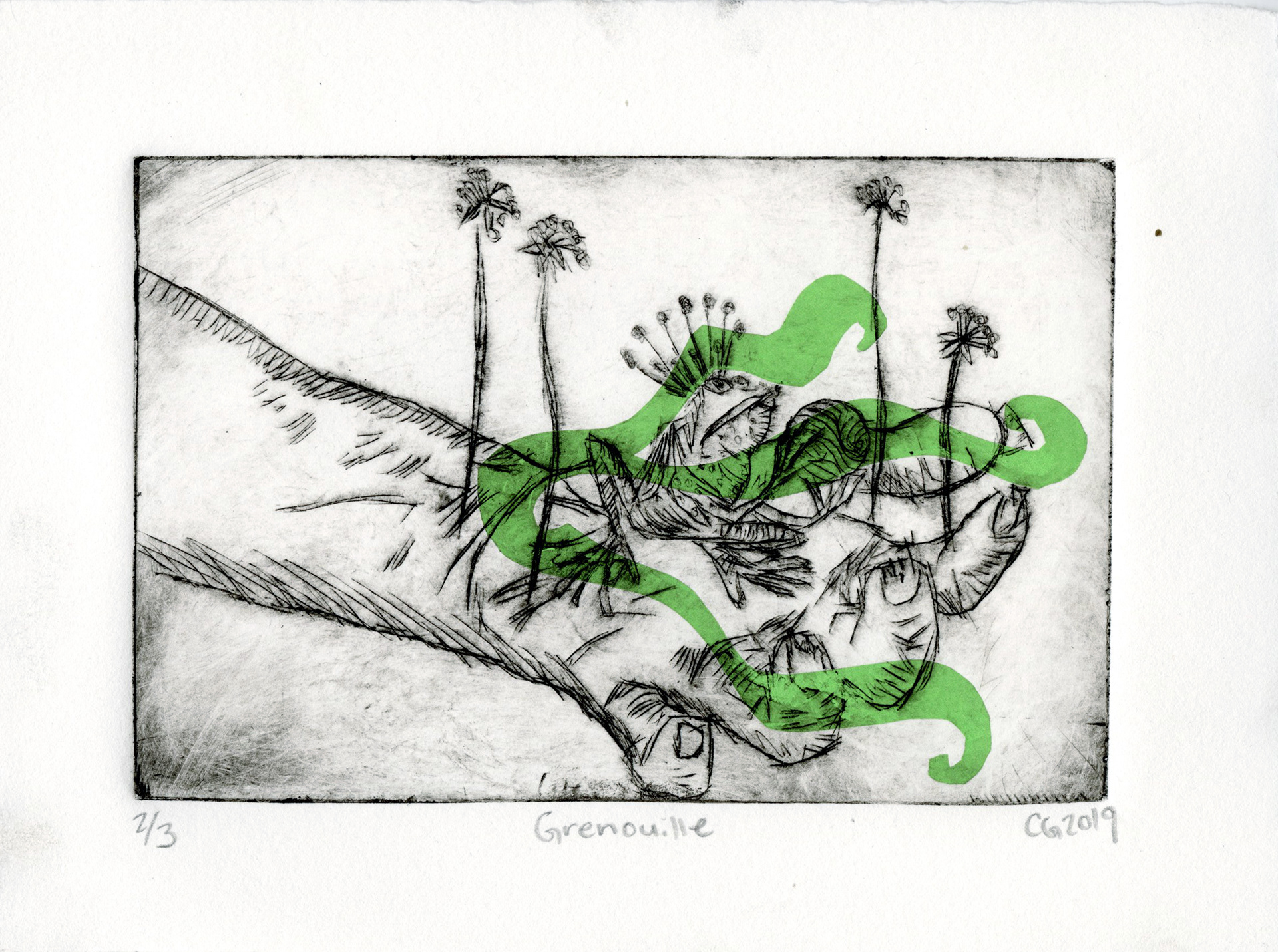 "Grenouille"- Illustration based on Albrecht Durer- Dry point & decoupage print. Print run of 3.