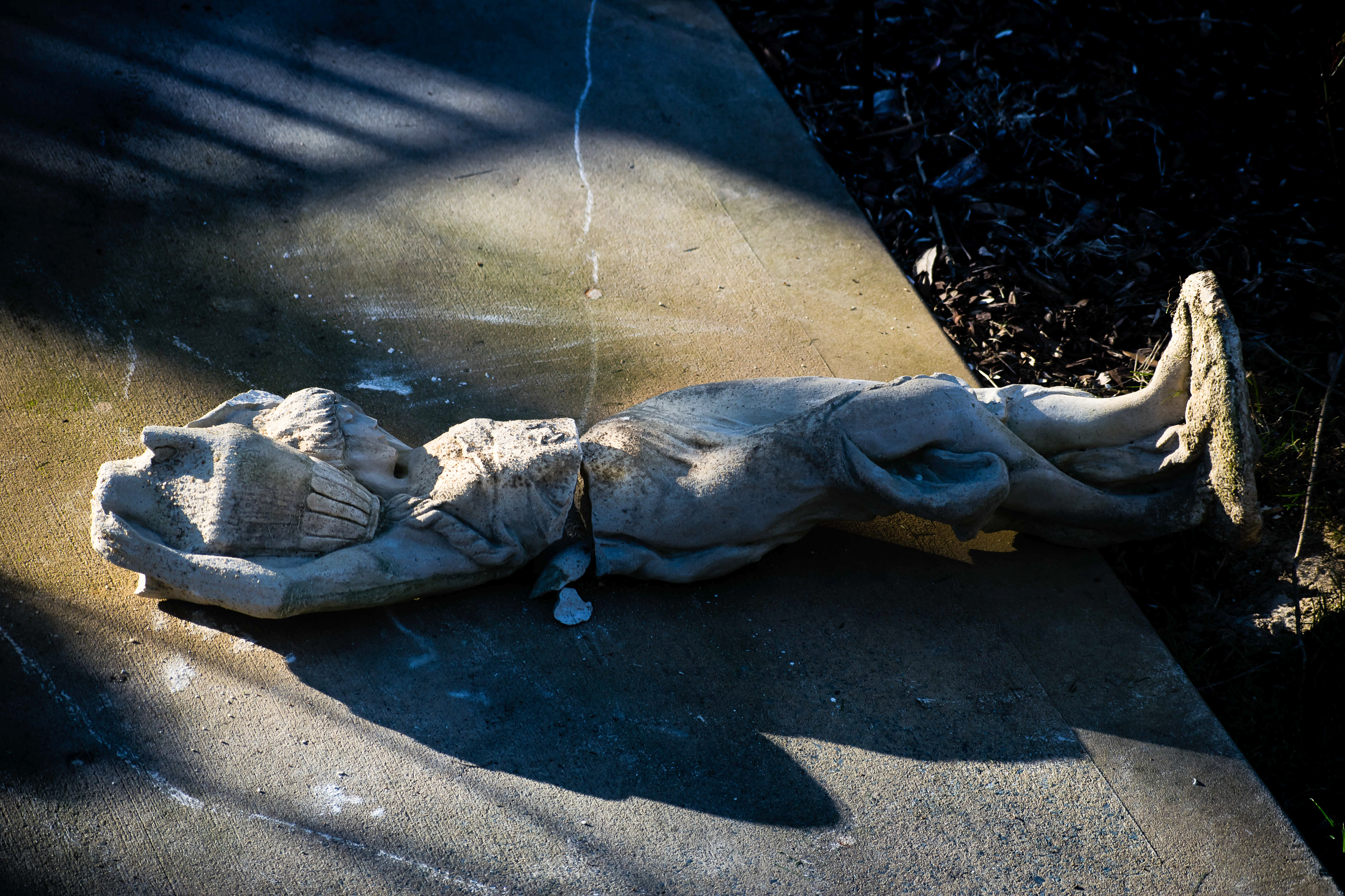 A Fallen Warrior