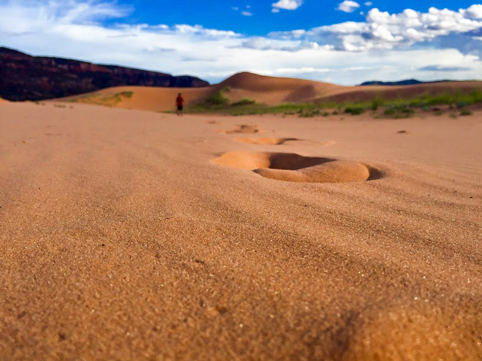 Pink Coral Sand Dunes Utah