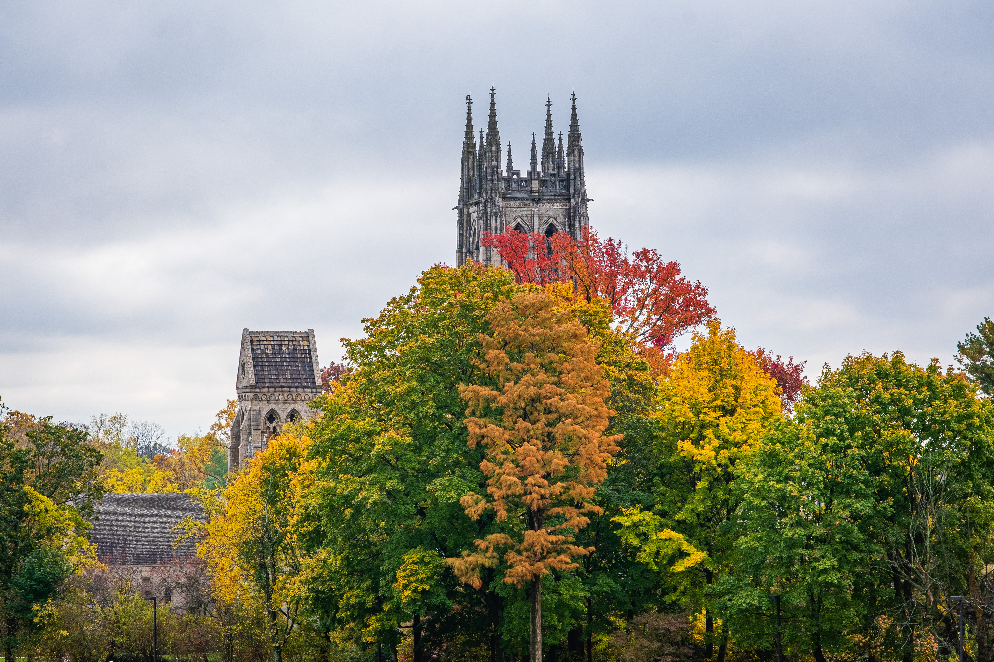 Autumn color, Bryn Athyn Cathedral, fall, autumn, leaf color