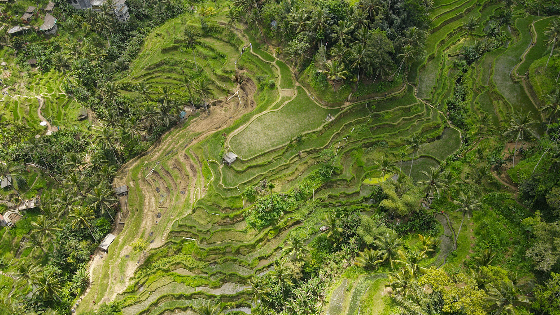 Ubud, Indonesien