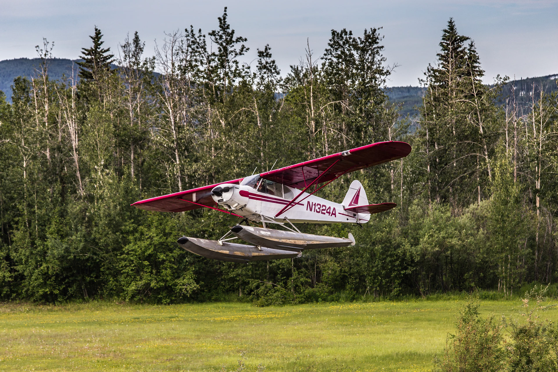 Bush pilot on Chena River - Fairbanks