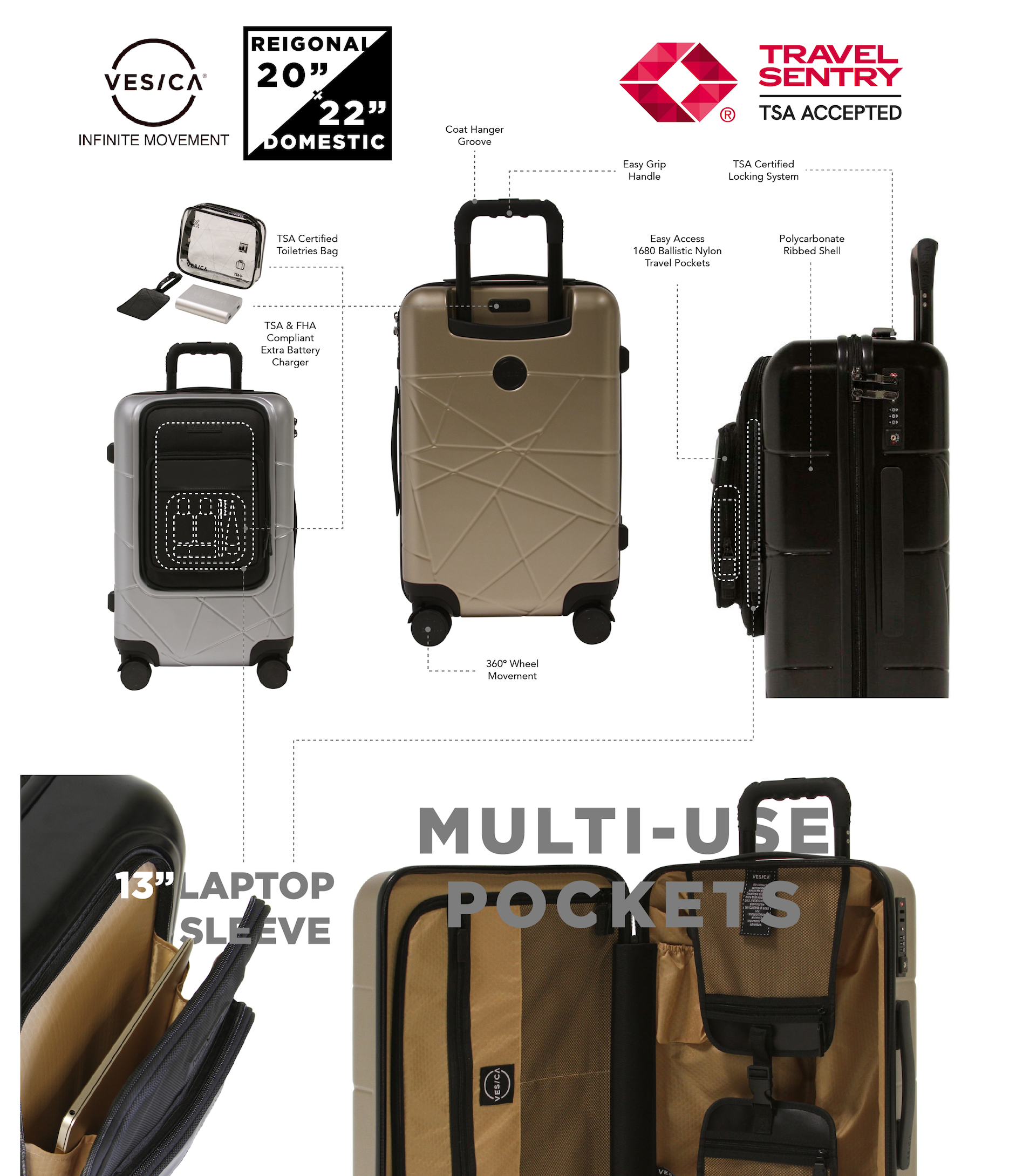 Zesica Promotional PDF