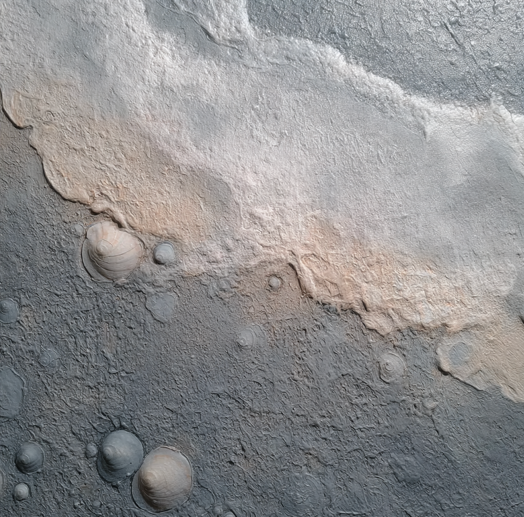 Voce Fossile (NR01)