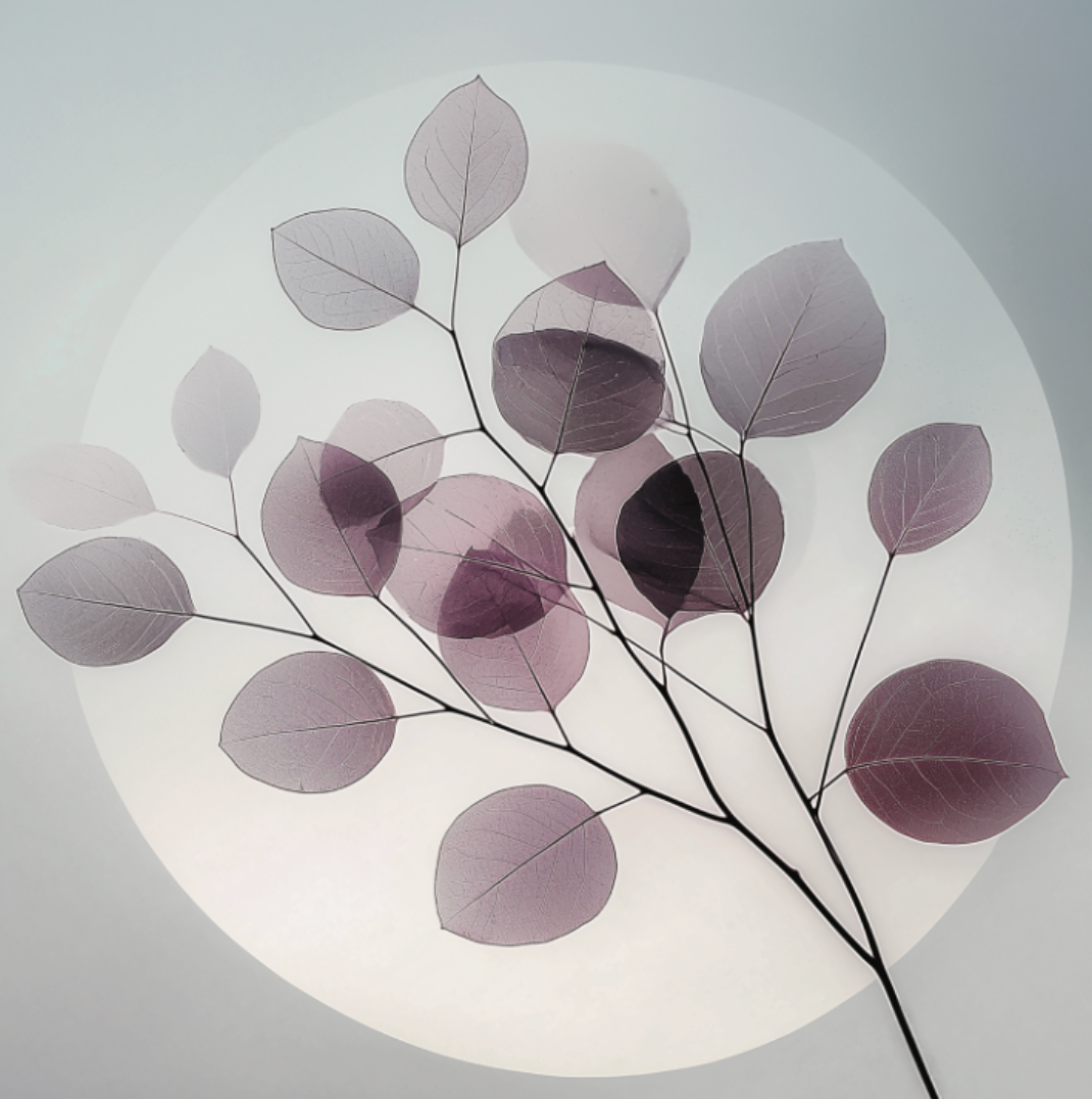 SST008 - 100x100cm - €265,00