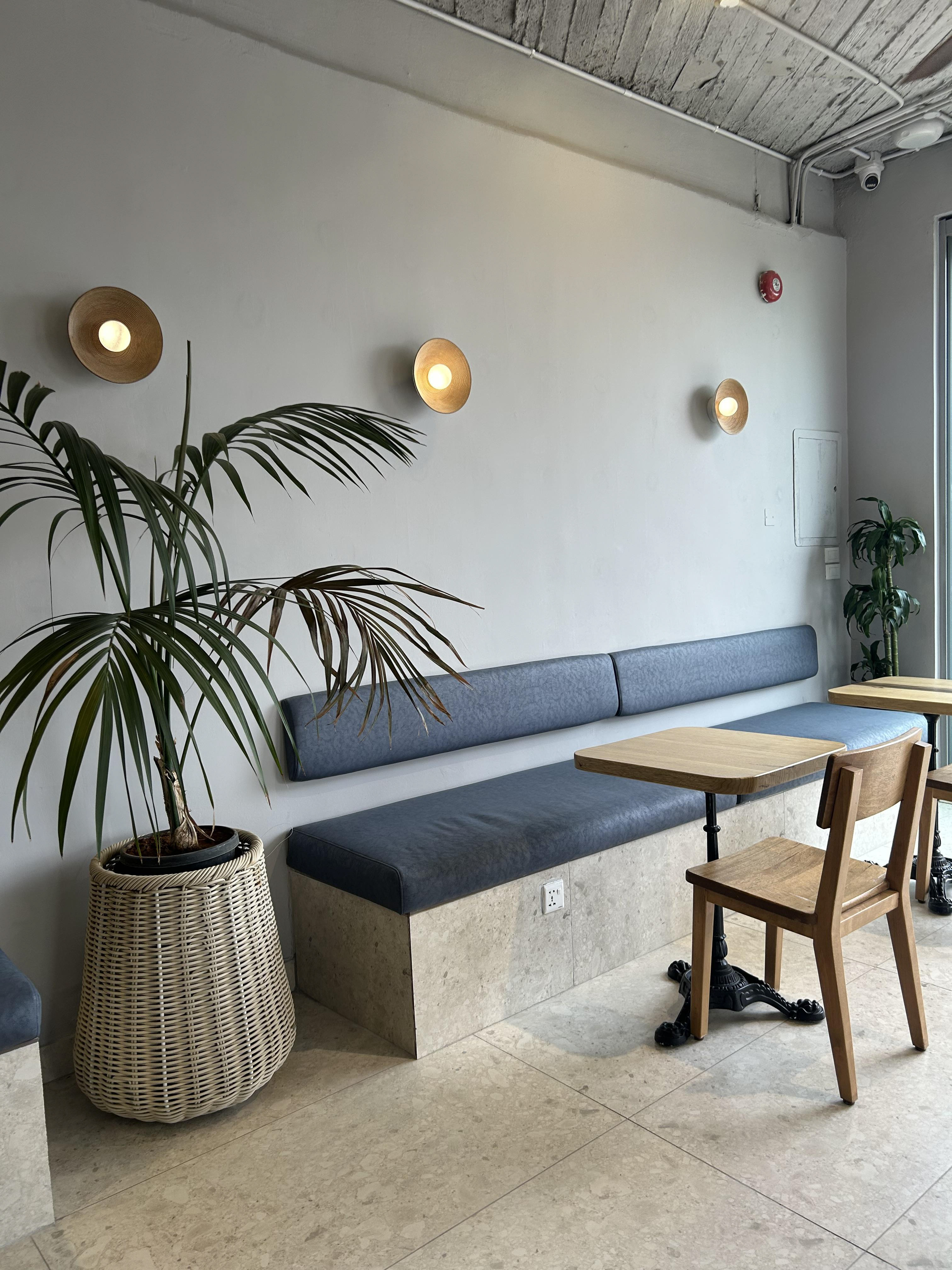 Azul bakery and coffee house interior design in Amman Jordan. Exposed ceiling, modern, minimalist, plants, wood.