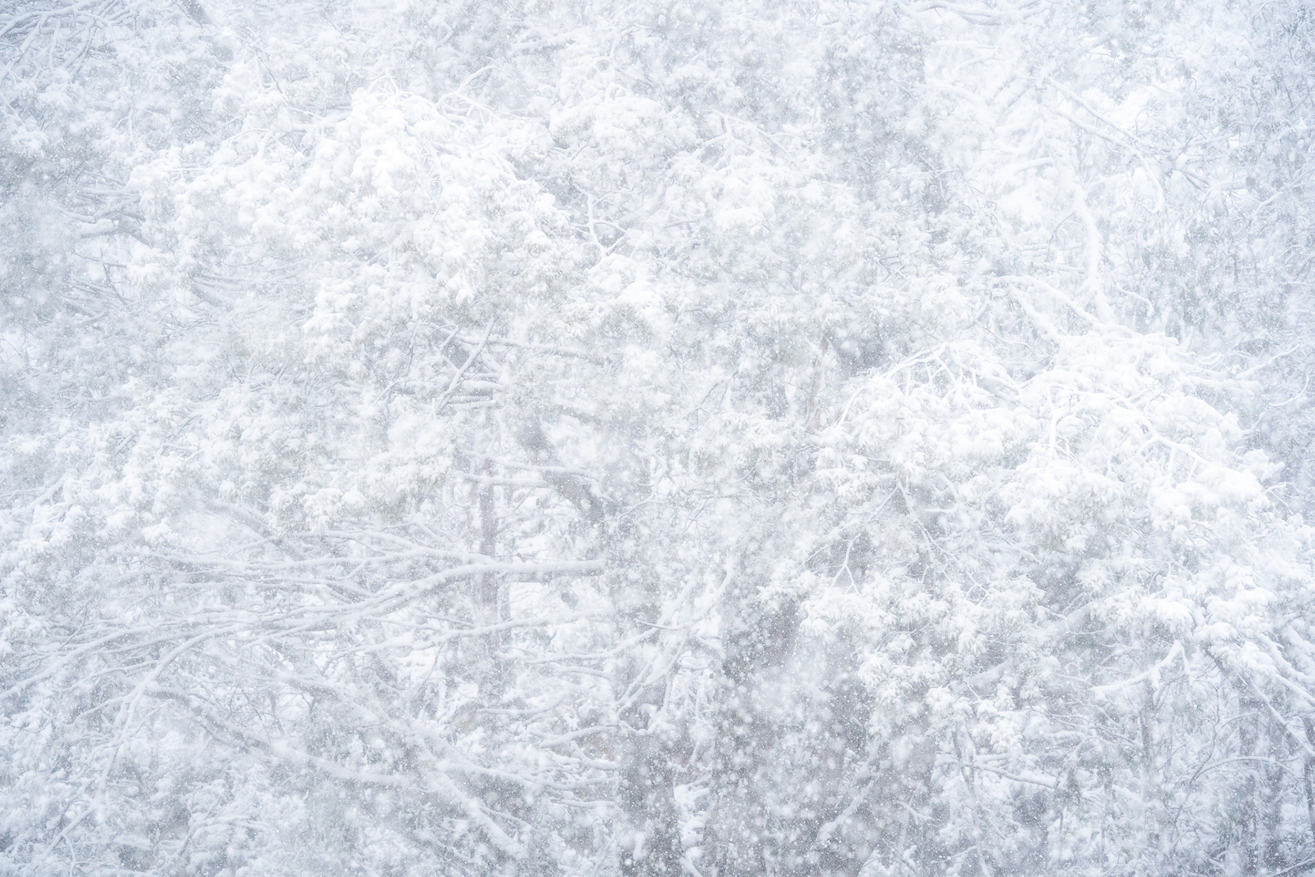 Snowglobe