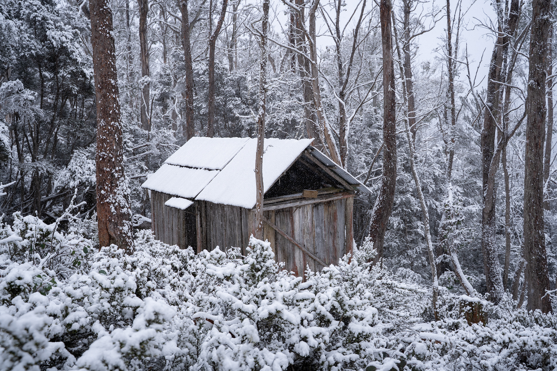 Trappers Hut