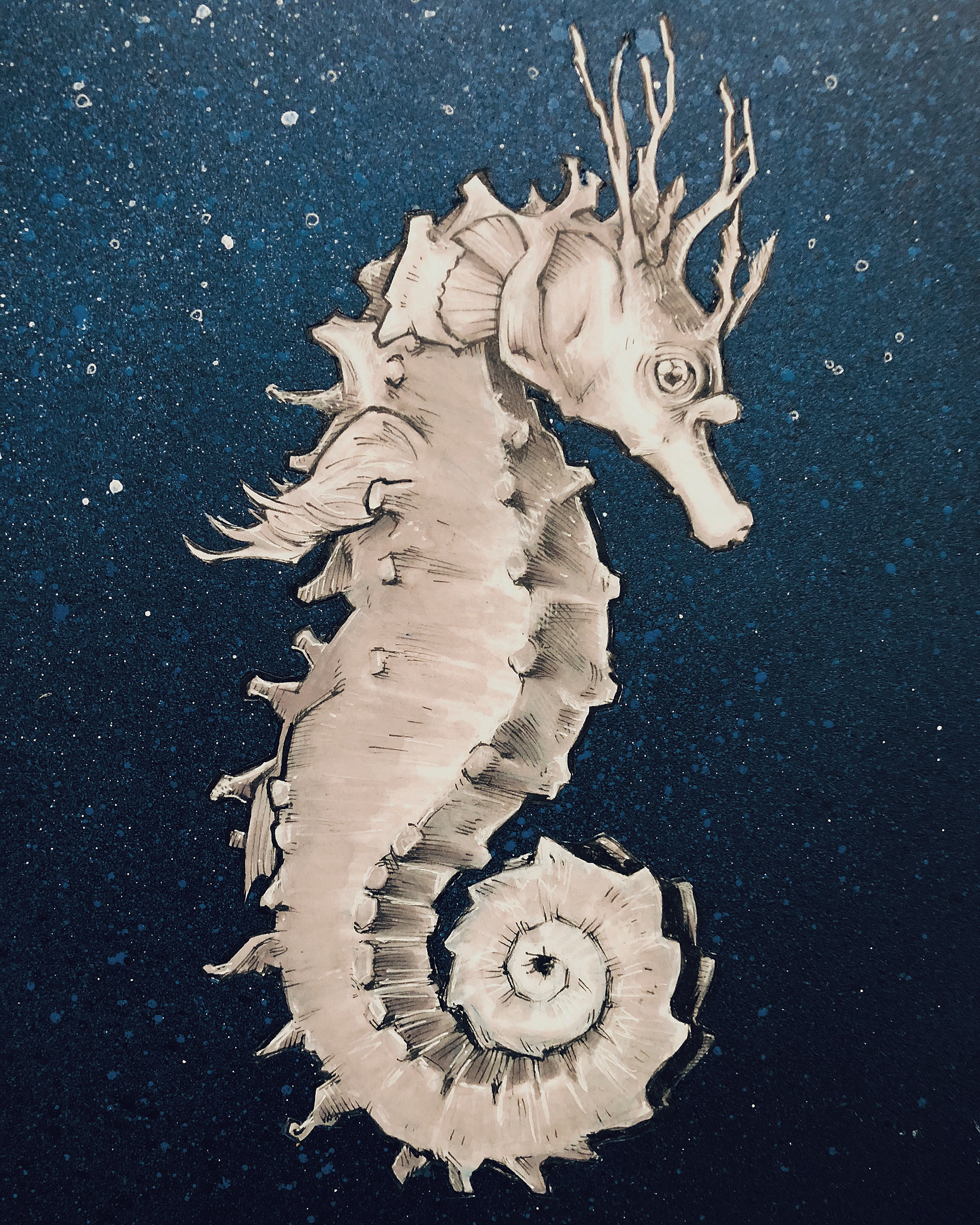 Sea Horse