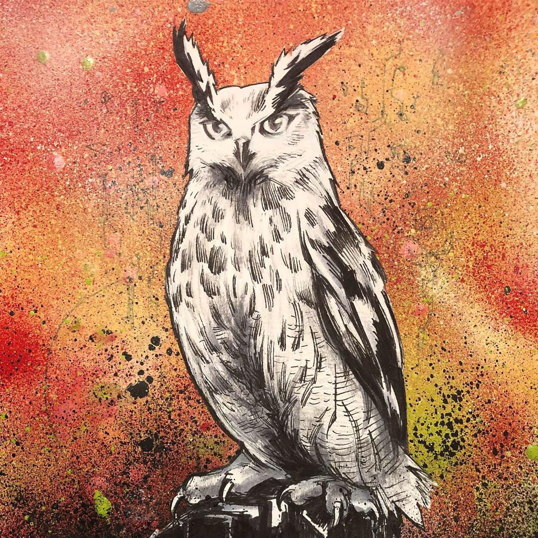 Owl