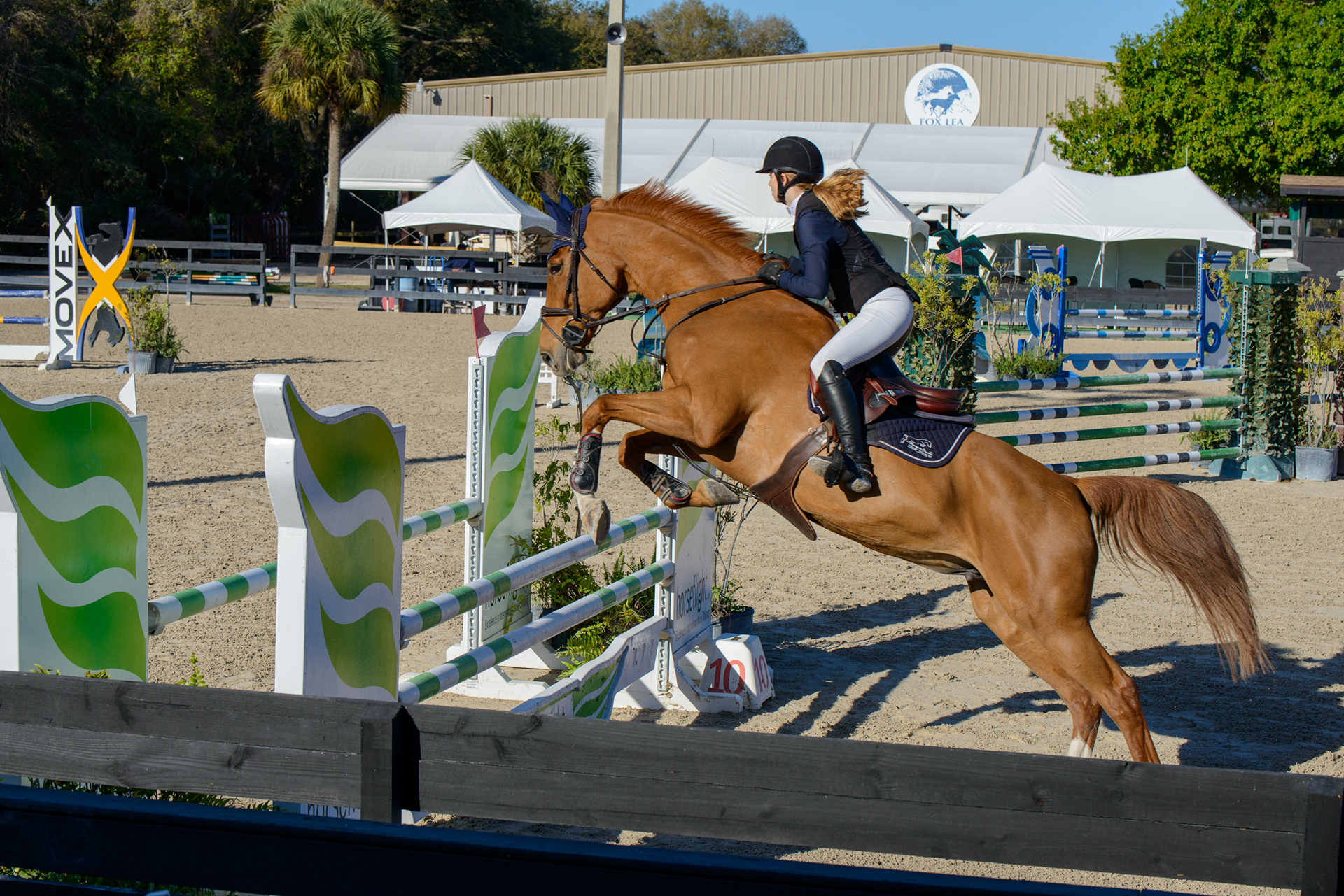 #equestrianlife Sarasota