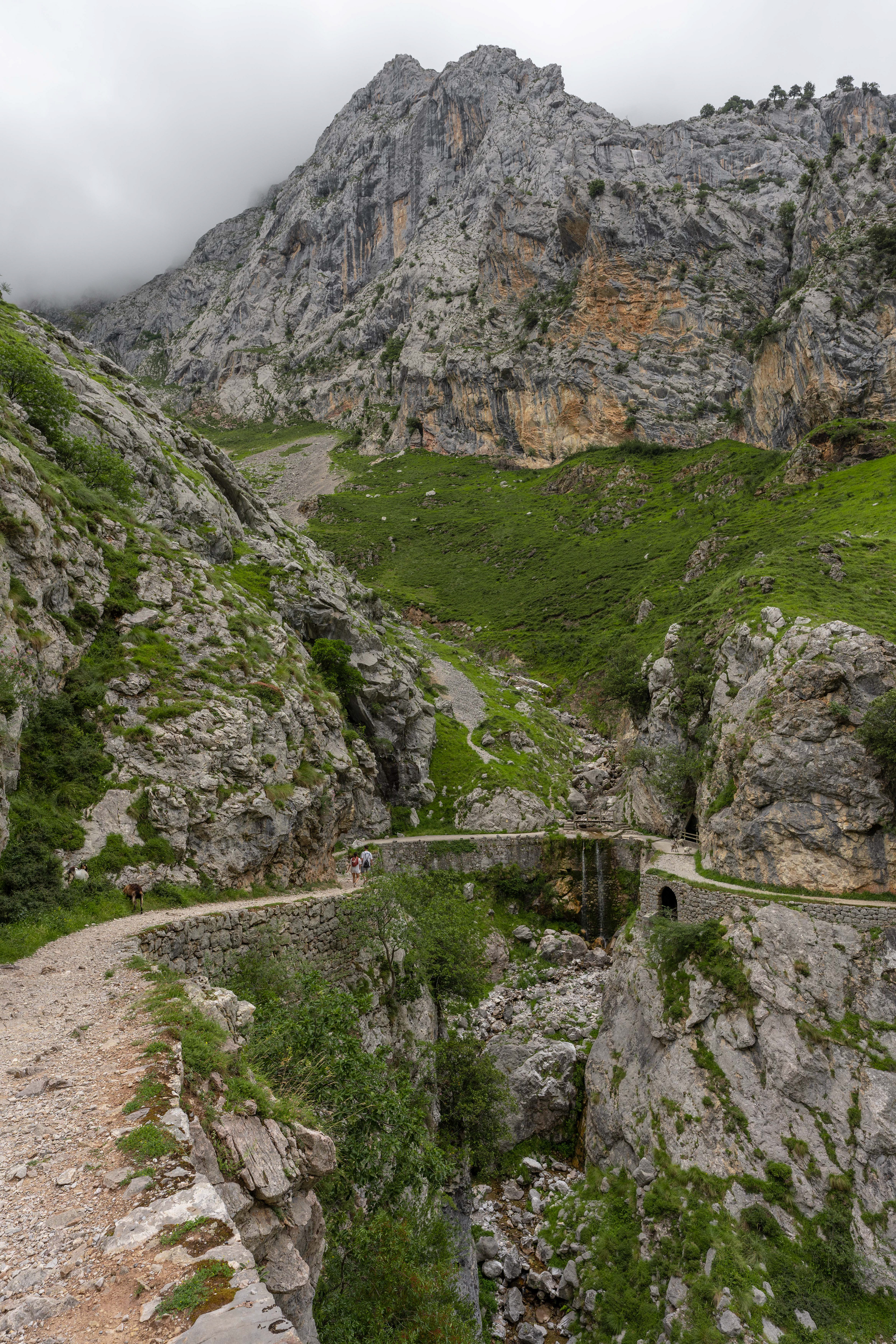 Los Picos de Europa