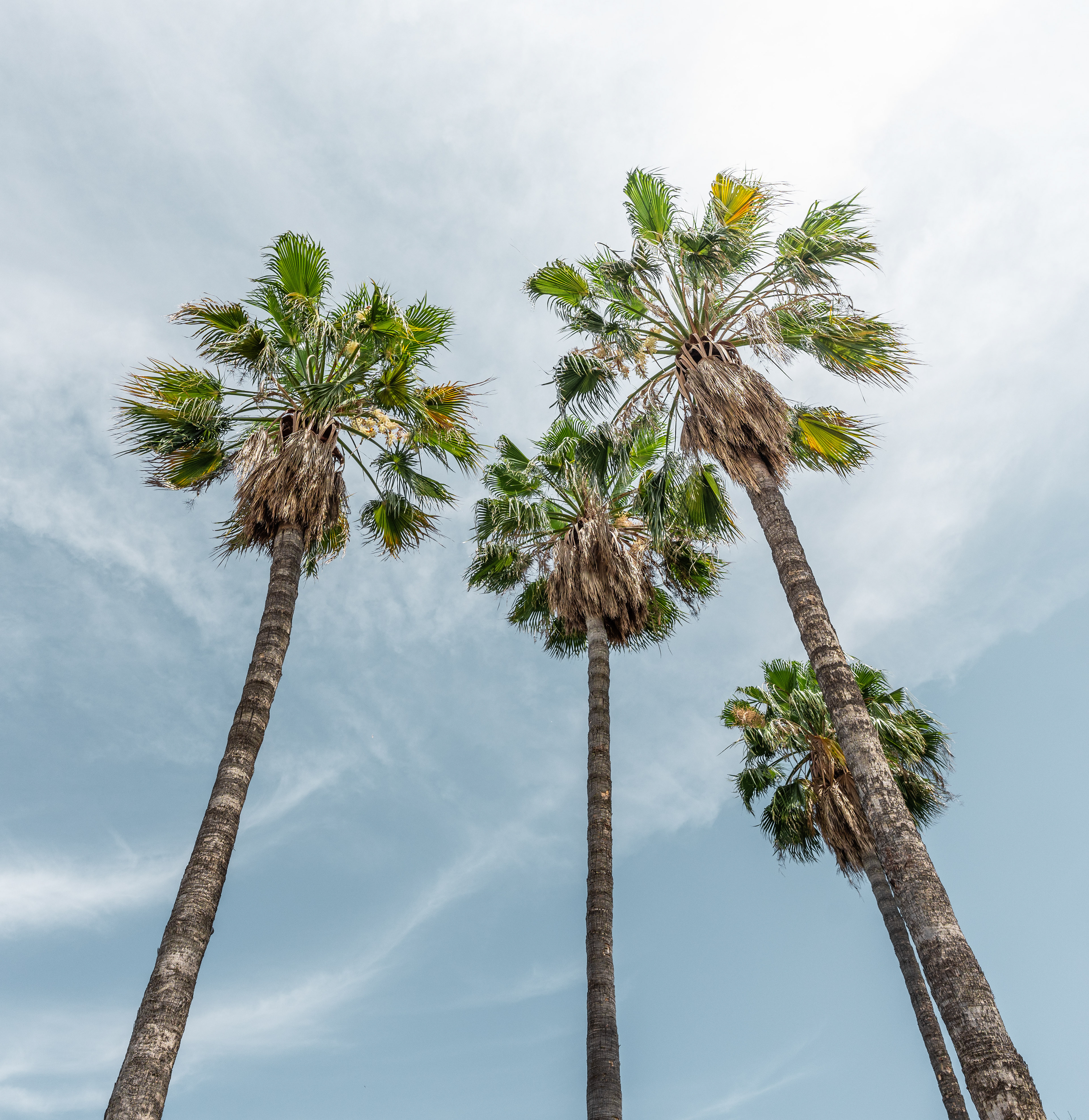 Valencia