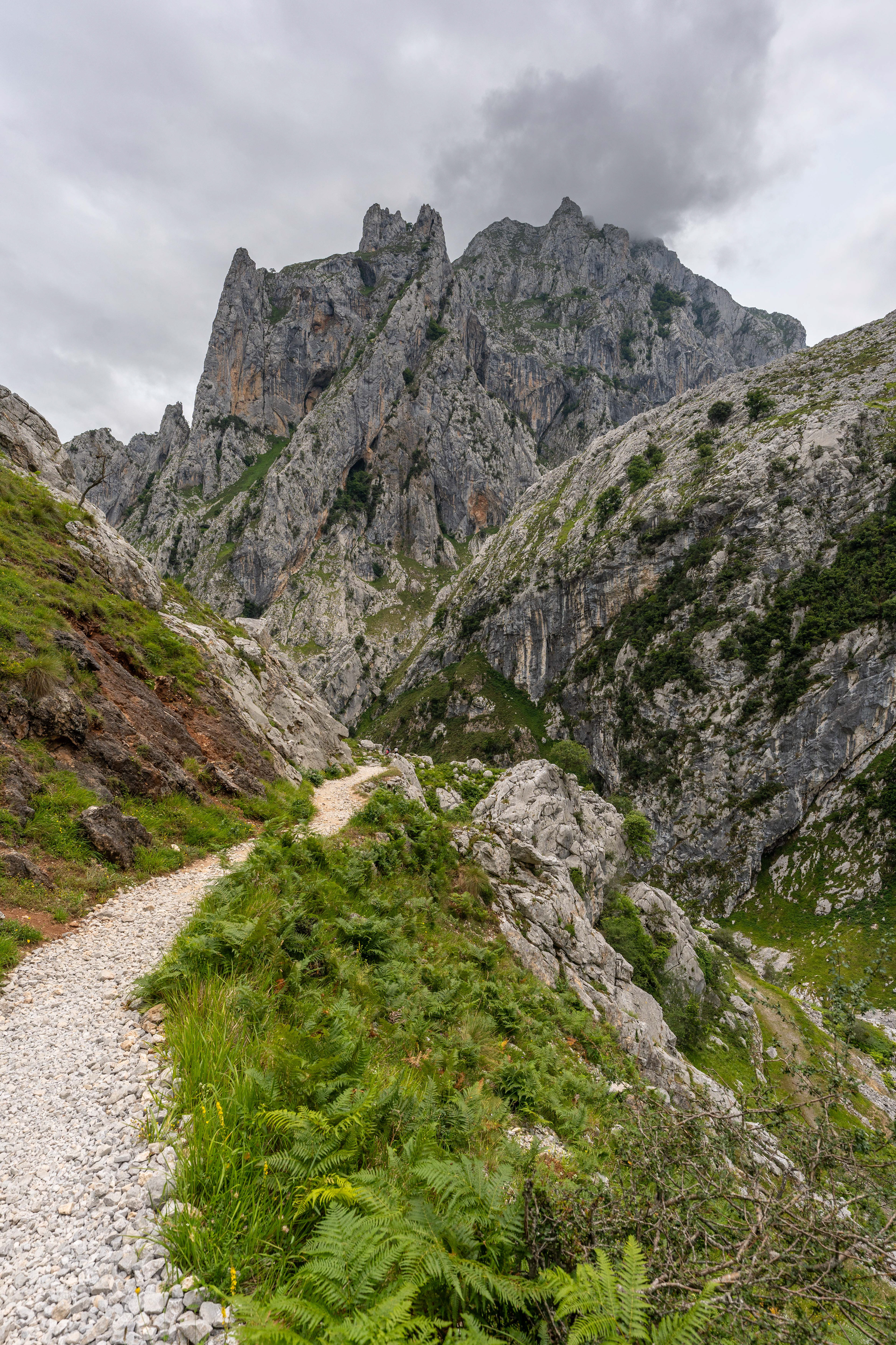 Los Picos de Europa